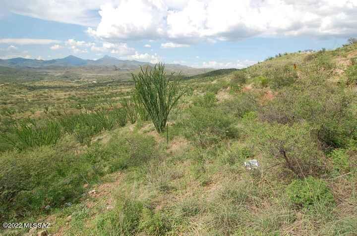 Lake Patagonia Ranch - Land