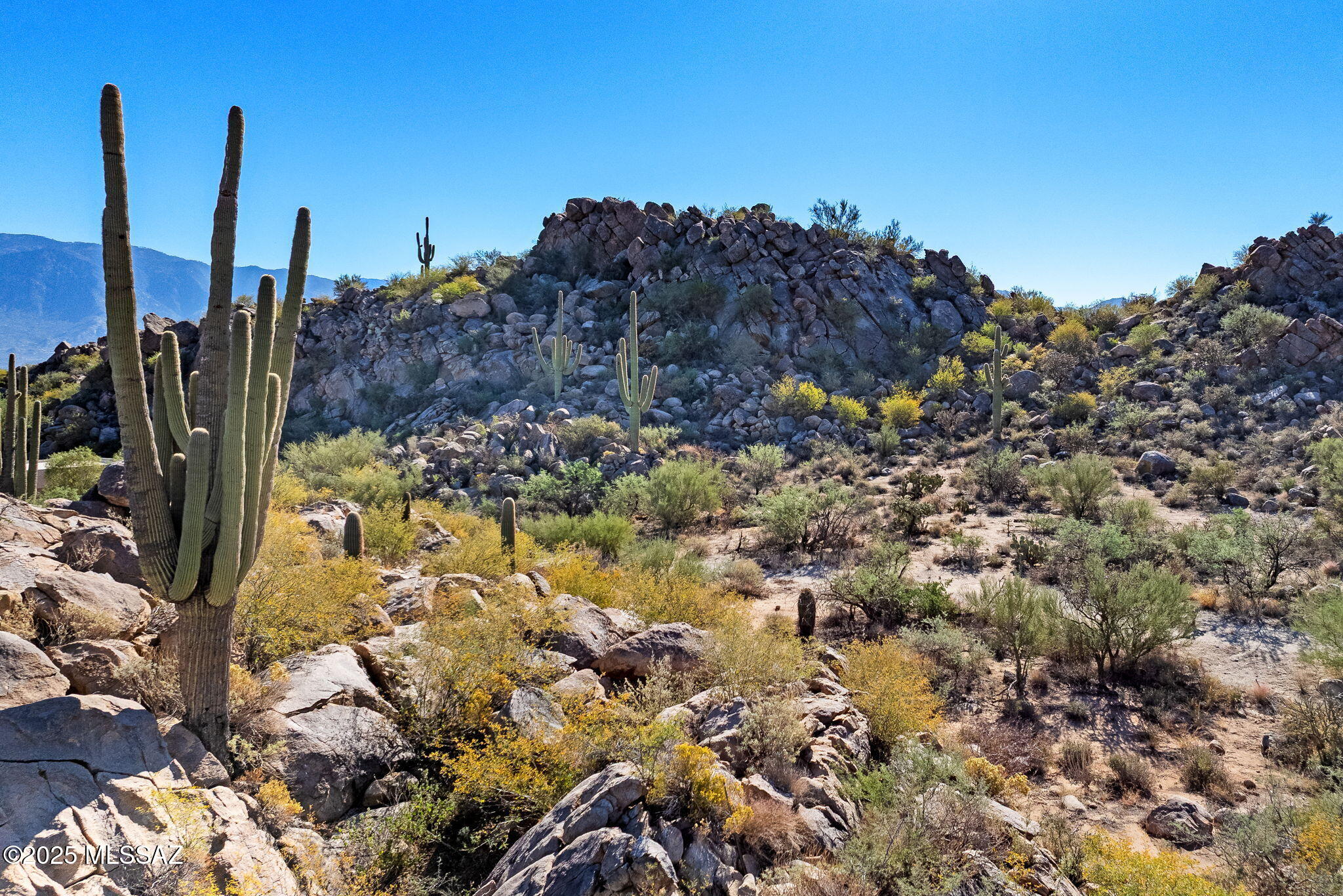 867 W Granite Gorge Drive 327