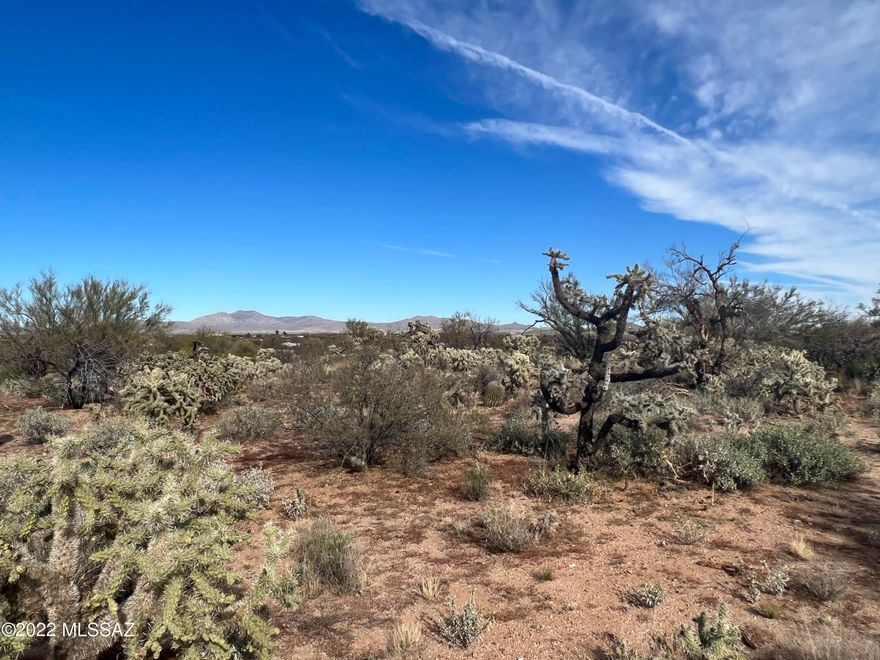 Beautiful property just off Hwy 79 near Park Link Drive. 3.149 Acres. Great Mountain and Sunset Views. Build your dream home or add a manufactured home land package. Enjoy the beauty of rural Arizona but still close to Tucson! Only a 10 minute drive to the Catalina Junction. Give agent a call if you need additional information. Lots are marked on the opposite side of the road with stakes and red flags. 3 stakes show where the lots begin and end. Back of the lots marked with white pvc poles. Lot next to this one also available for sale!