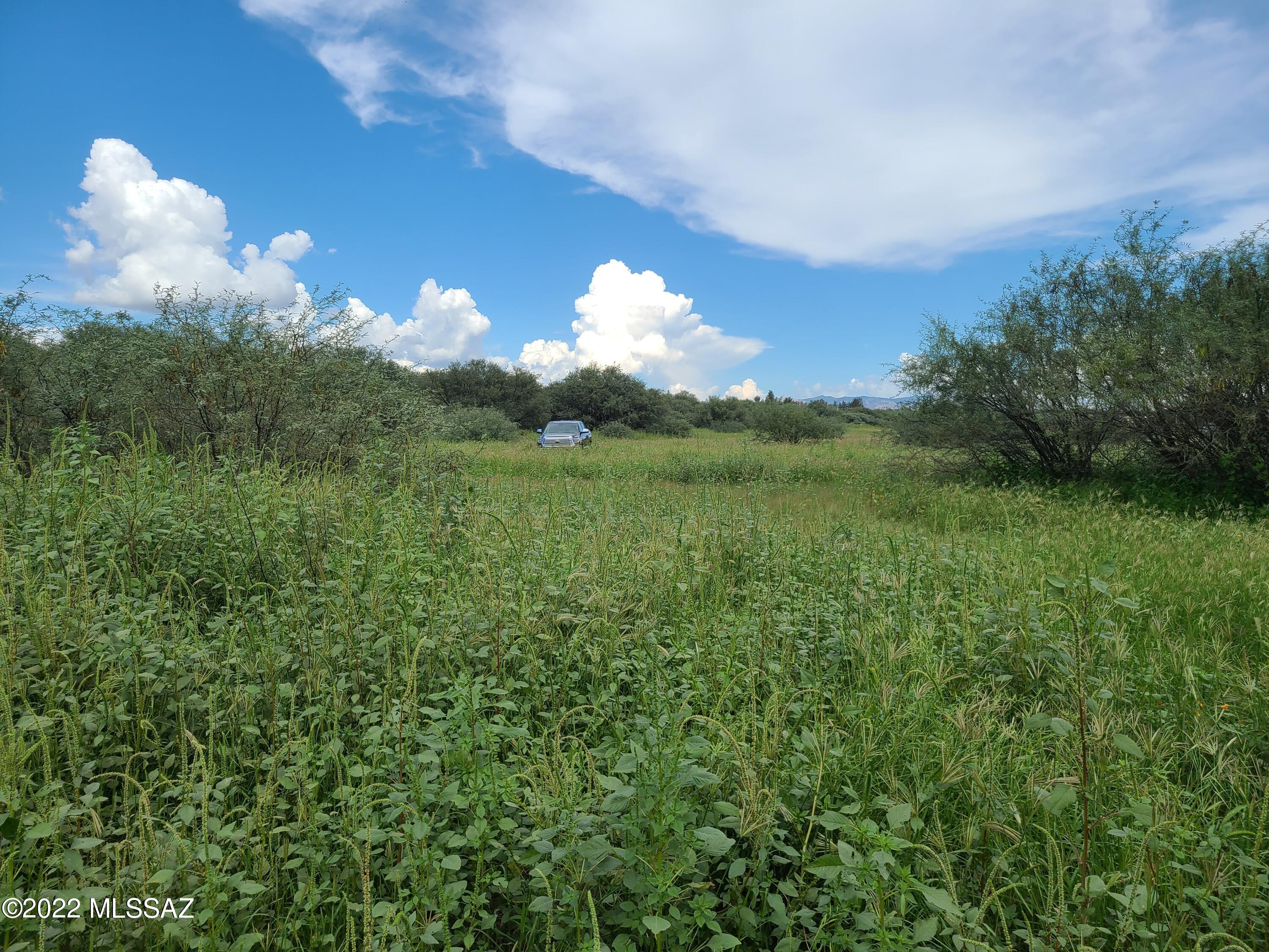 Out Of Pima County - Land