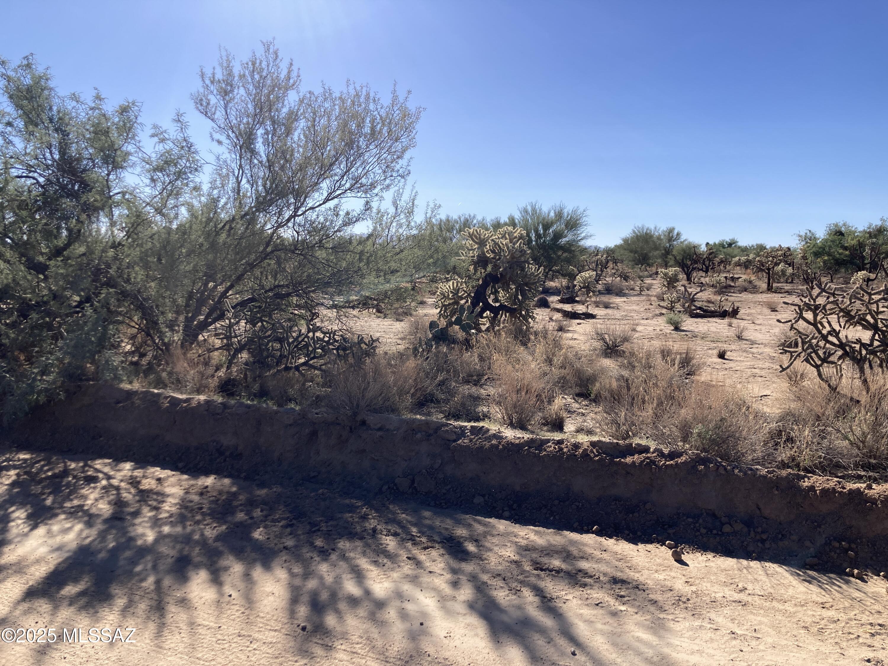 15641 W Guy Street 5