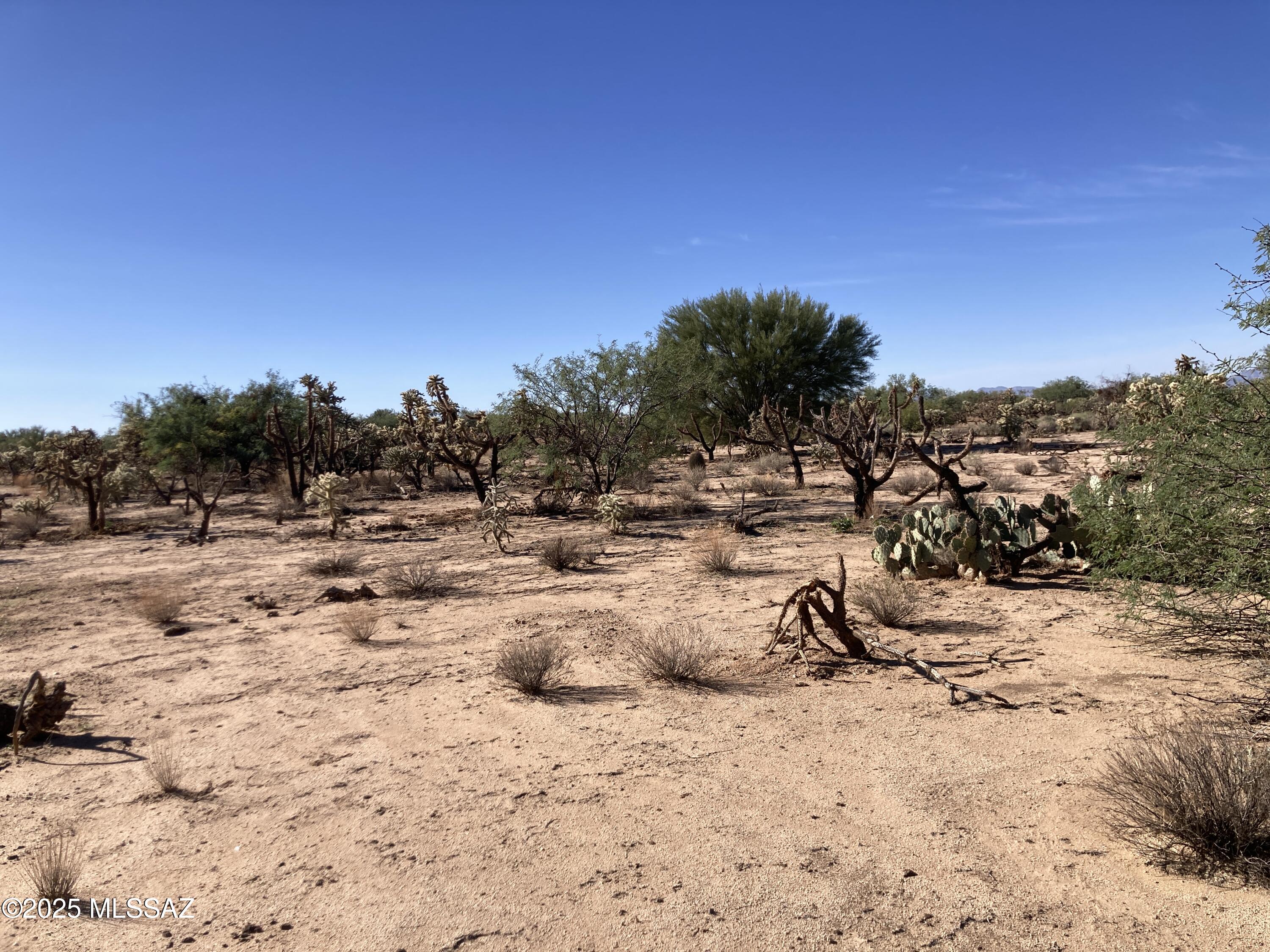 15641 W Guy Street 5