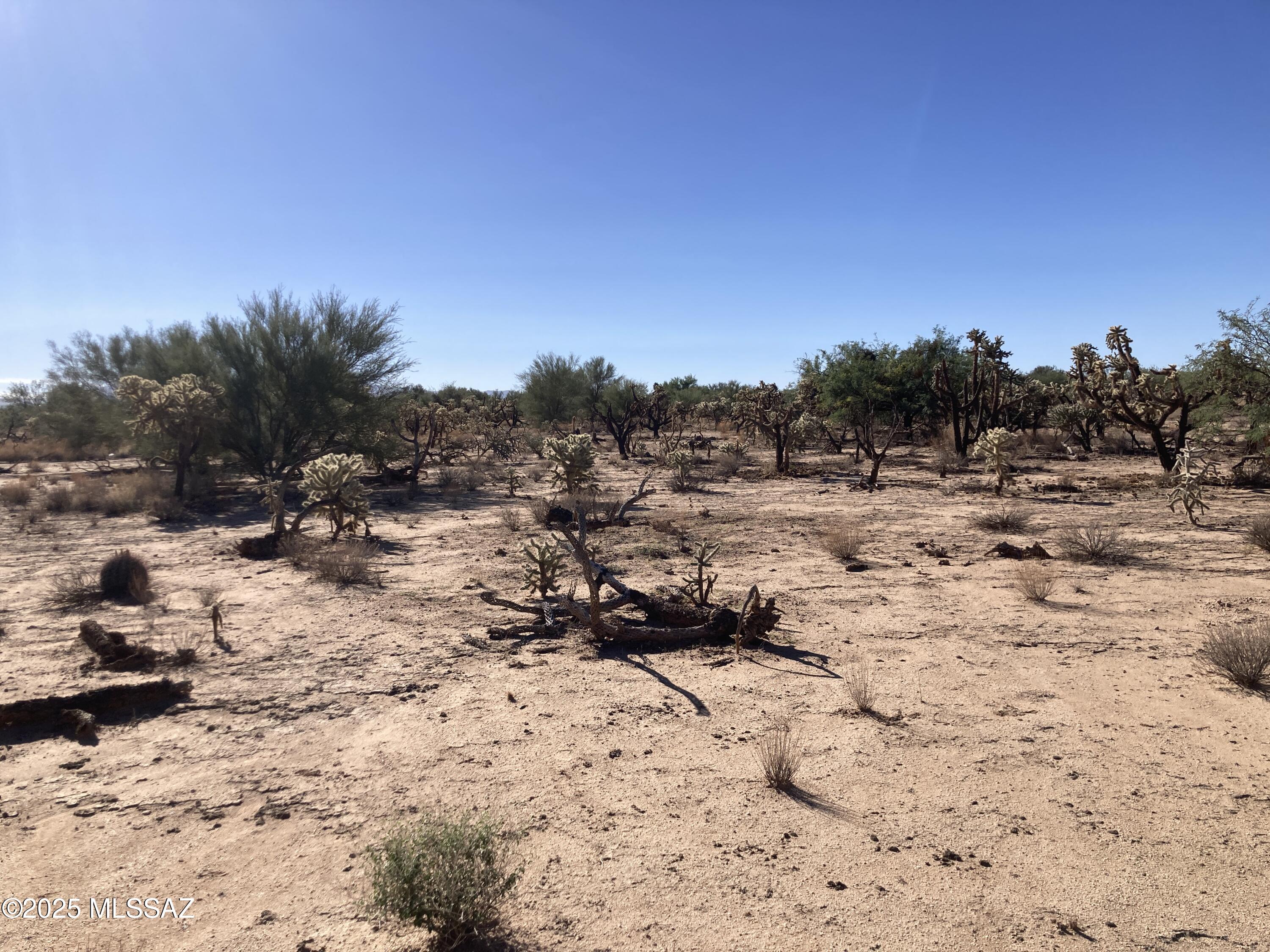 15641 W Guy Street 5