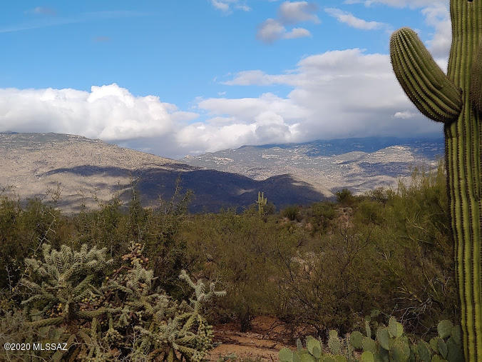 Coyote Creek (1-395) - Land