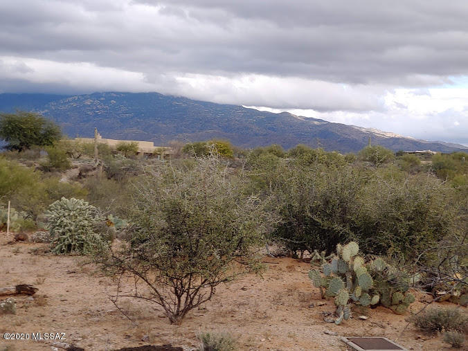 Coyote Creek (1-395) - Land