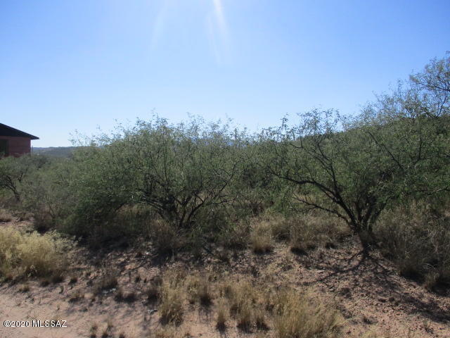Rio Rico Villas - Land