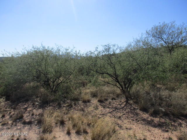 Rio Rico Villas - Land