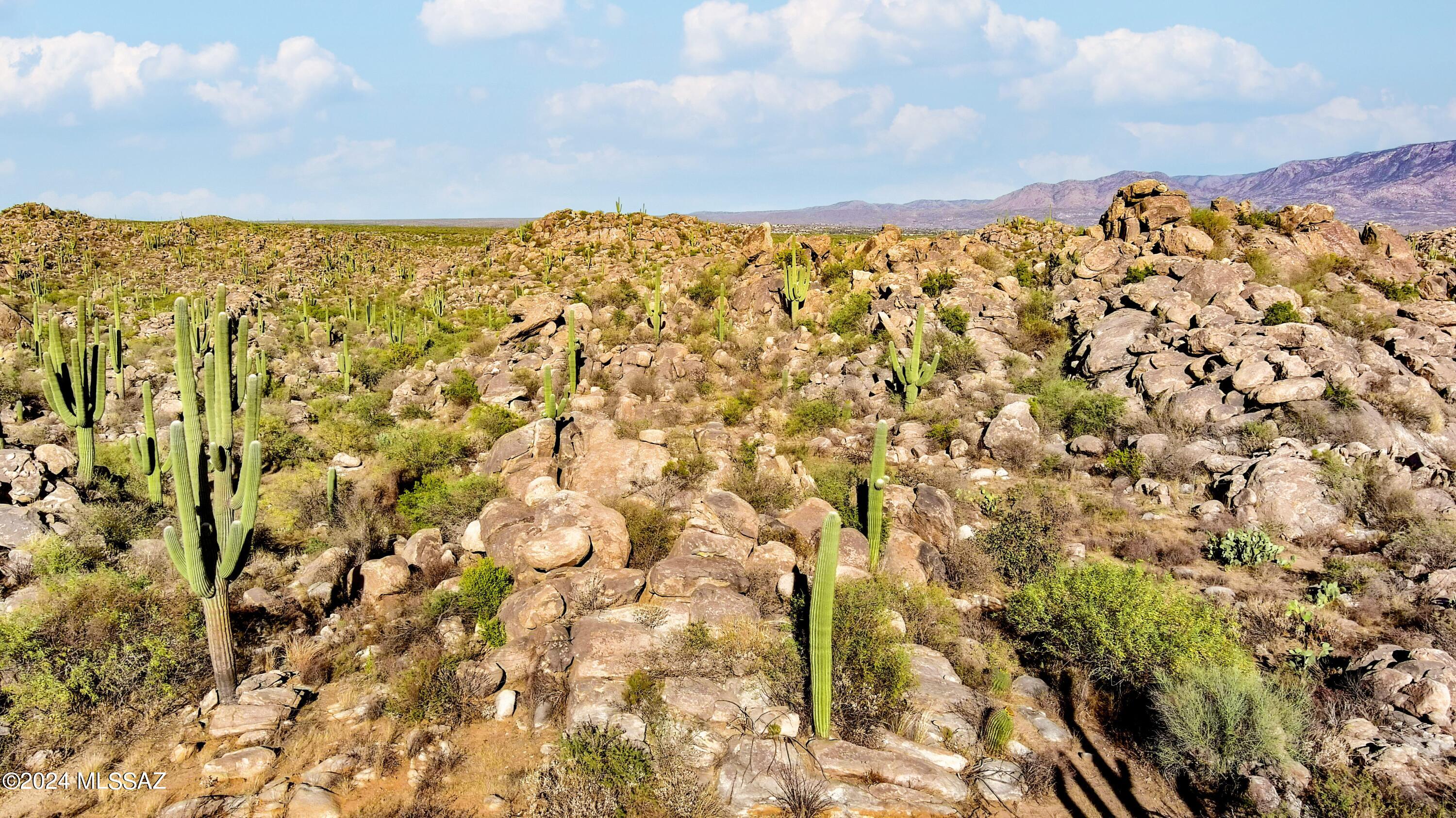 1459 W Tortolita Mountain Circle Lot 280