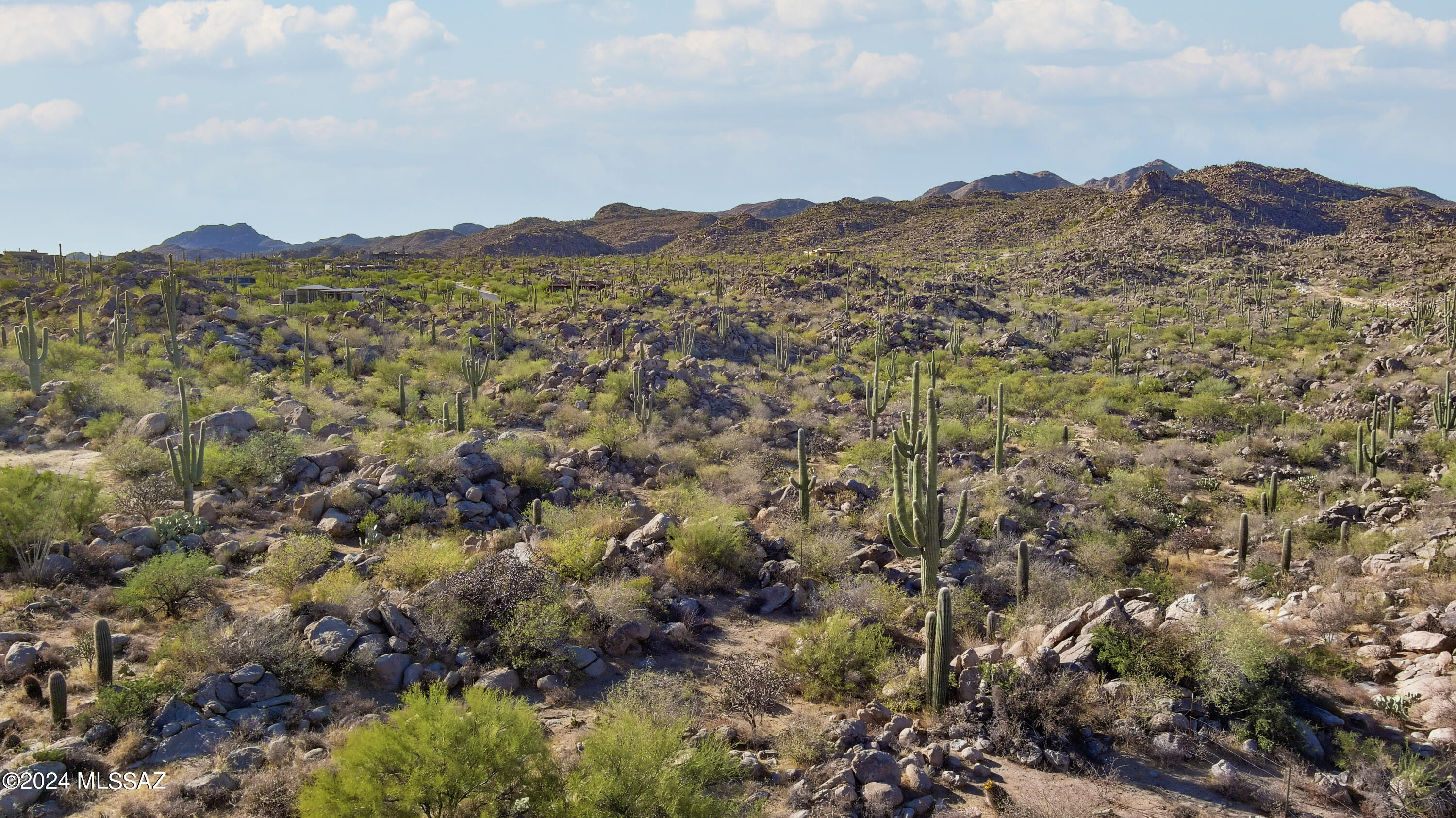 1459 W Tortolita Mountain Circle Lot 280