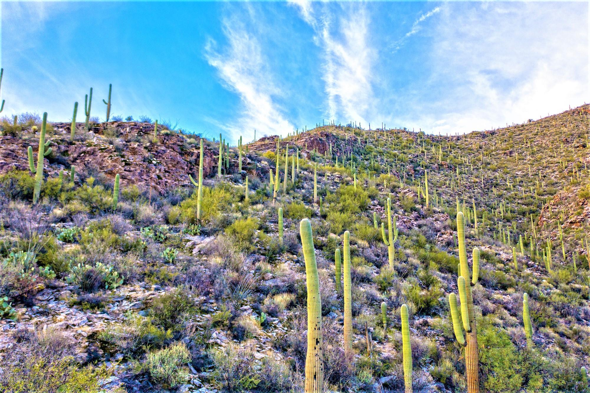 Ventana Canyon Mountain Estate (1-73) - Land