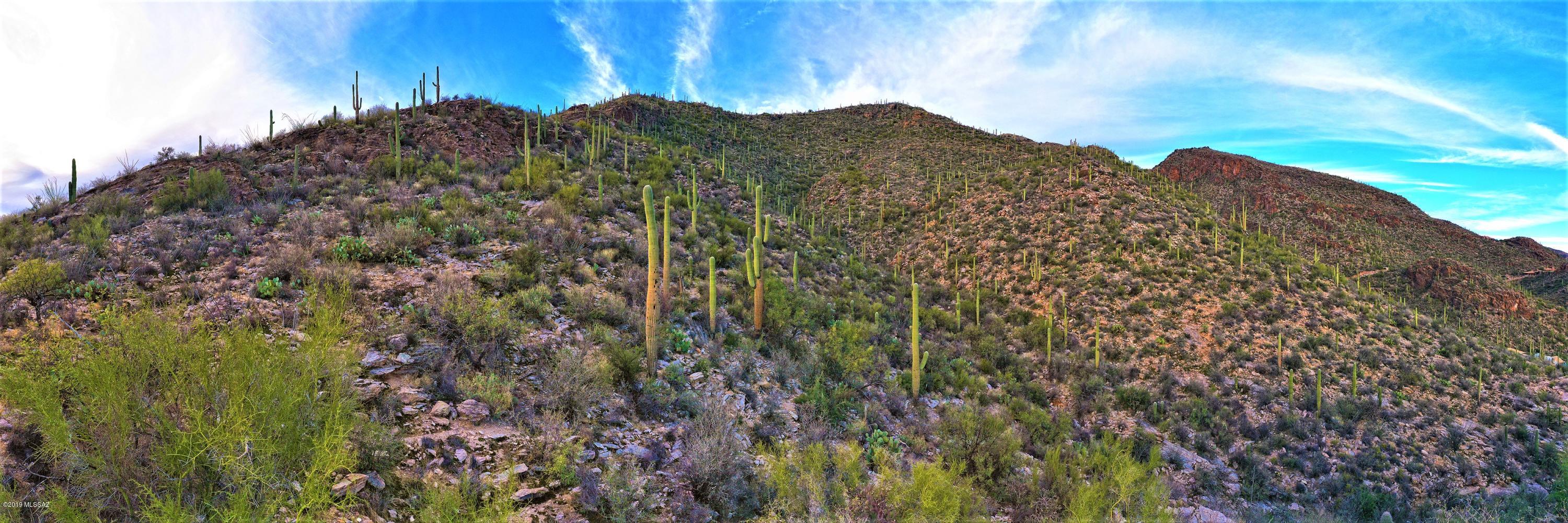 Ventana Canyon Mountain Estate (1-73) - Land