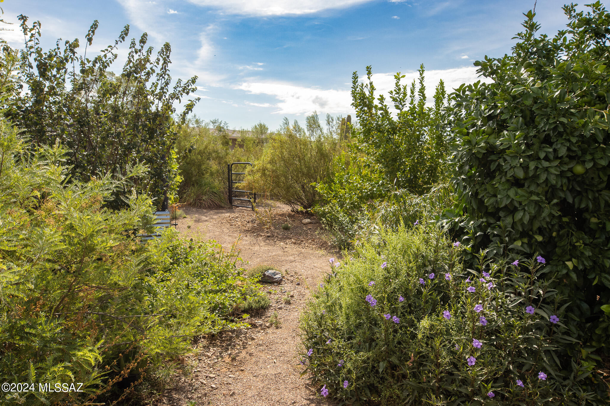 Ranchita Avra (1-60) - Residential