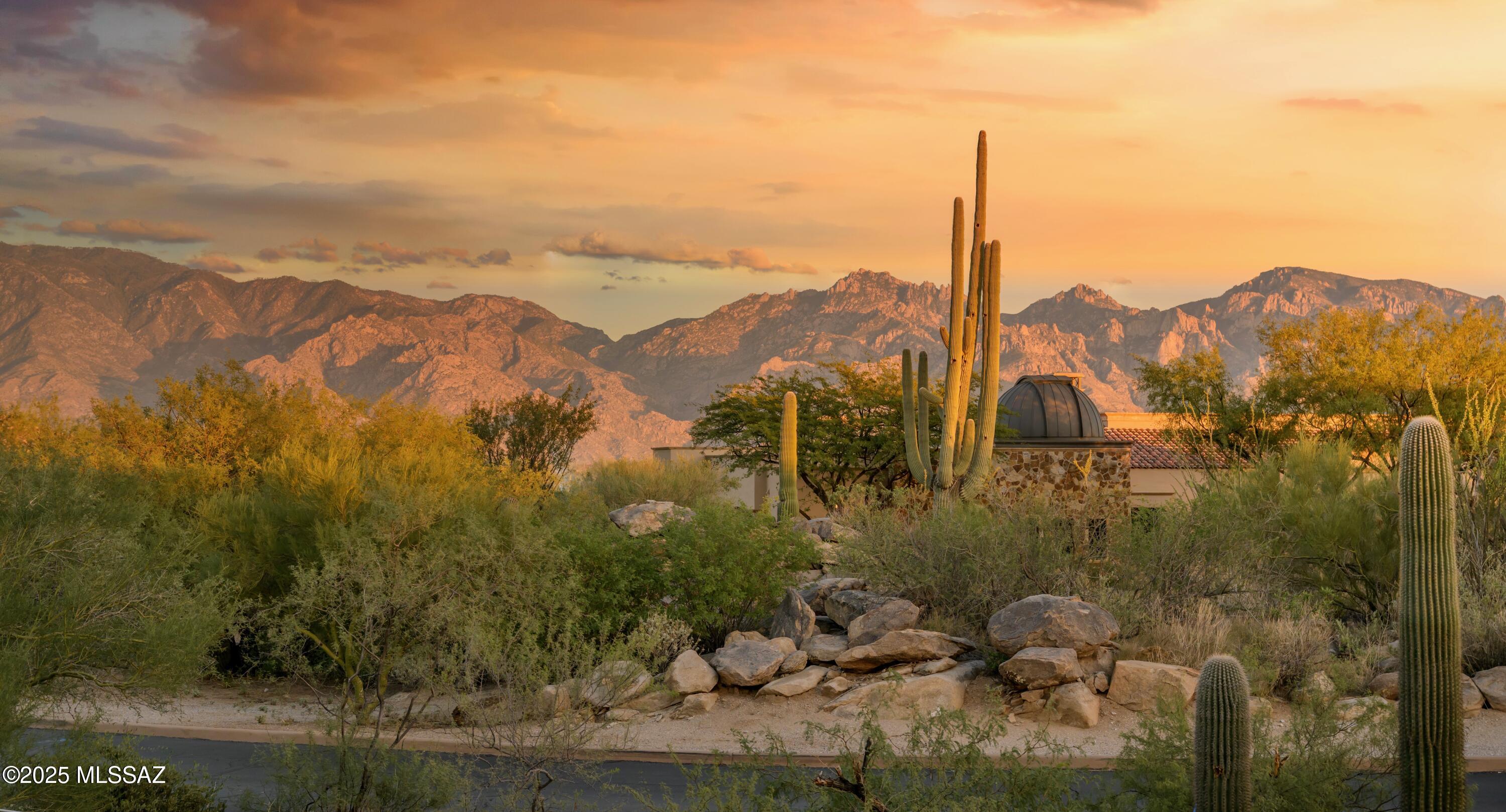 14311 N Giant Saguaro Place