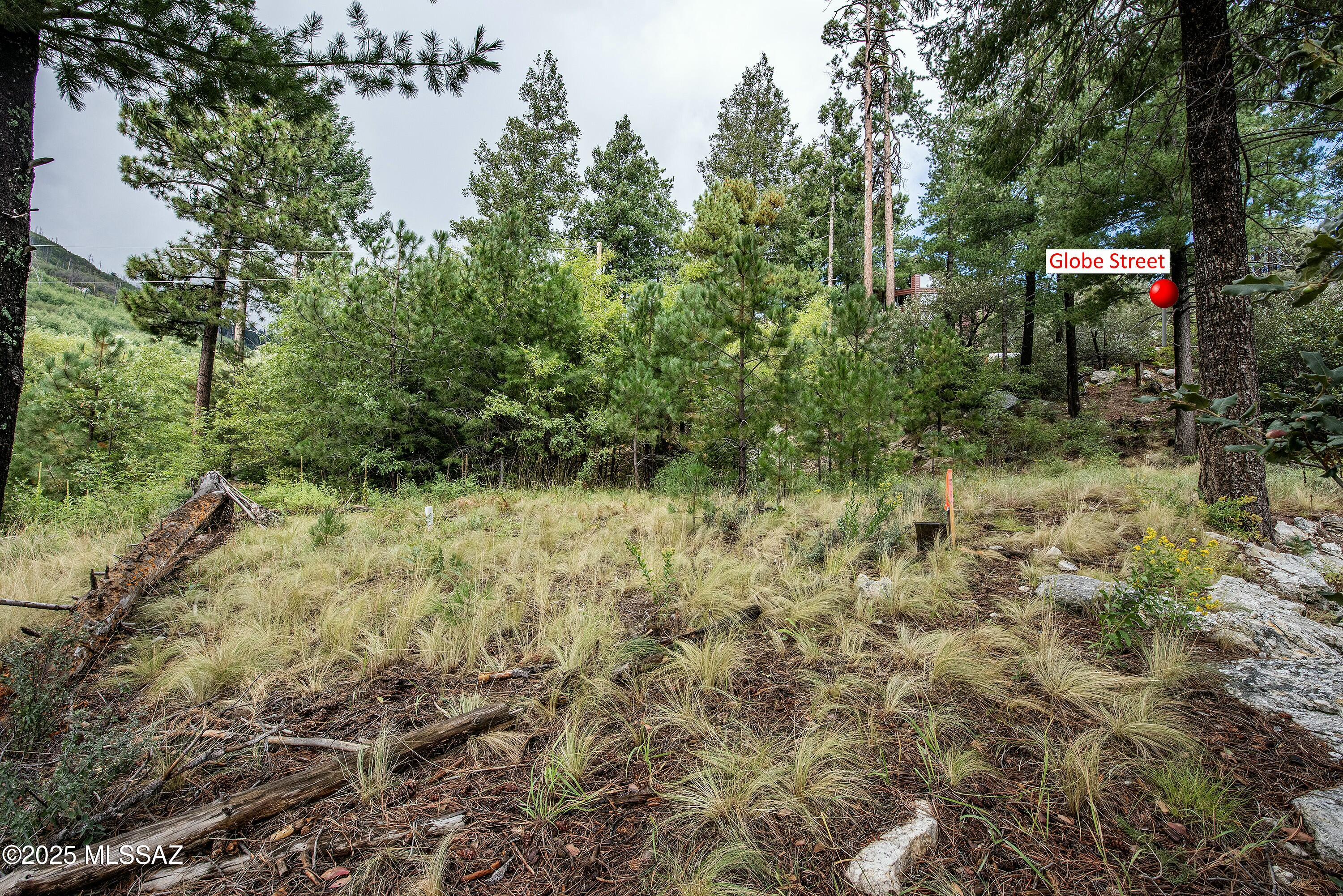 11188 E Globe Street 9