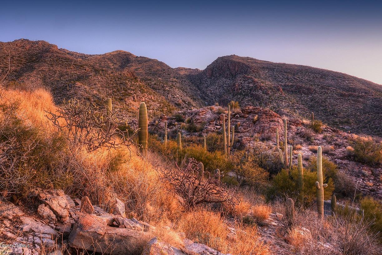 Ventana Canyon Mountain Estate (1-73) - Land