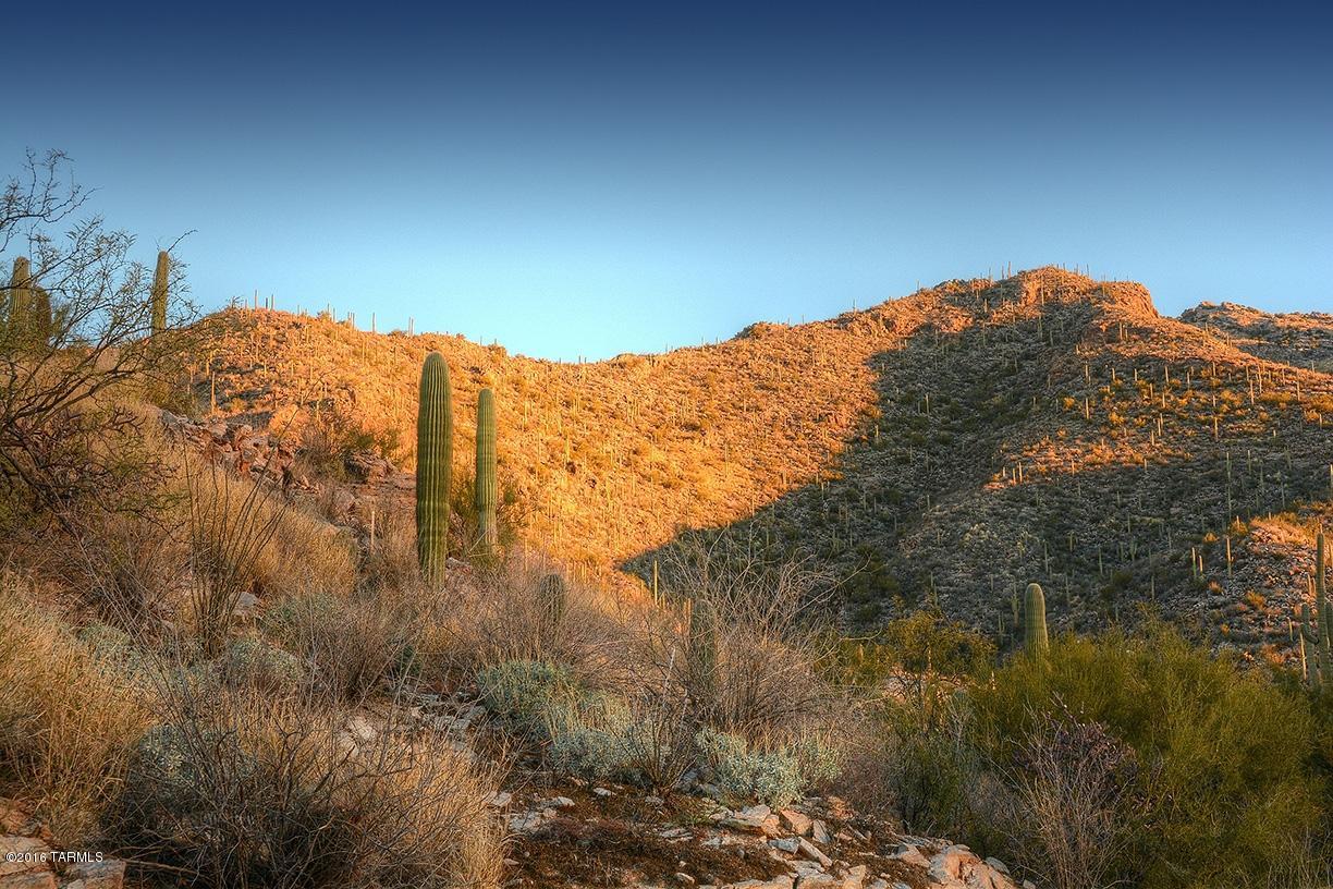 Ventana Canyon Mountain Estate (1-73) - Land