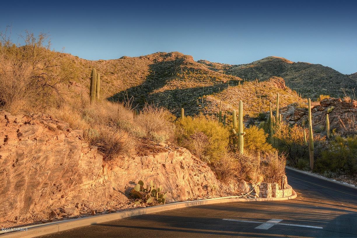 Ventana Canyon Mountain Estate (1-73) - Land