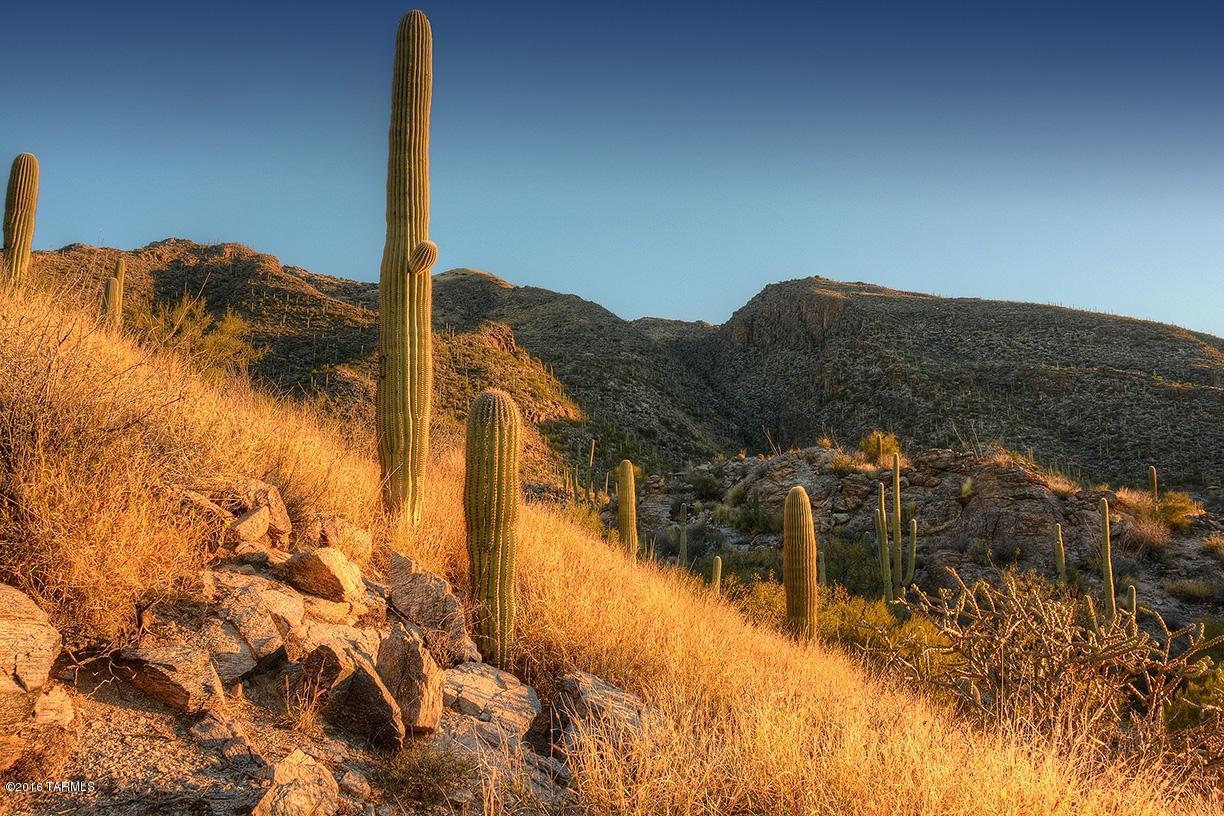 Ventana Canyon Mountain Estate (1-73) - Land