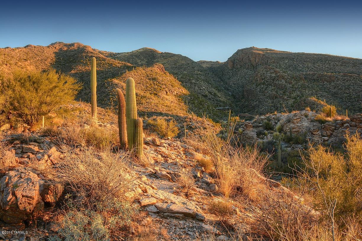 Ventana Canyon Mountain Estate (1-73) - Land