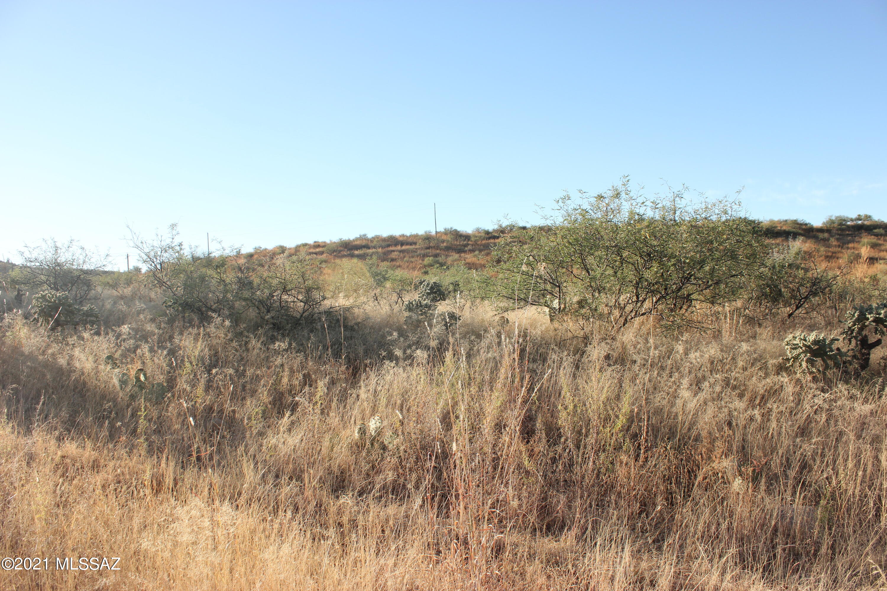 Rio Rico Ranchettes 17 - Land