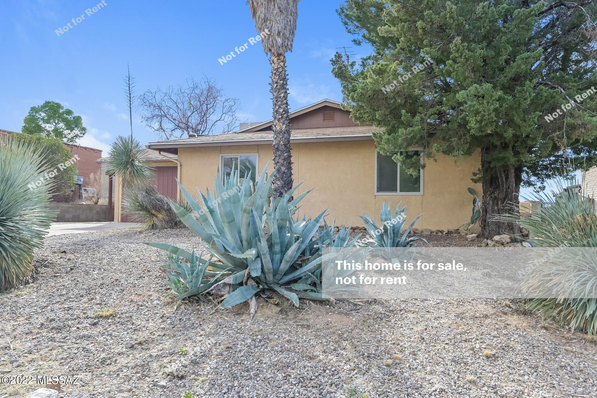 New Tucson Unit NO. 5 (1-312) - Residential