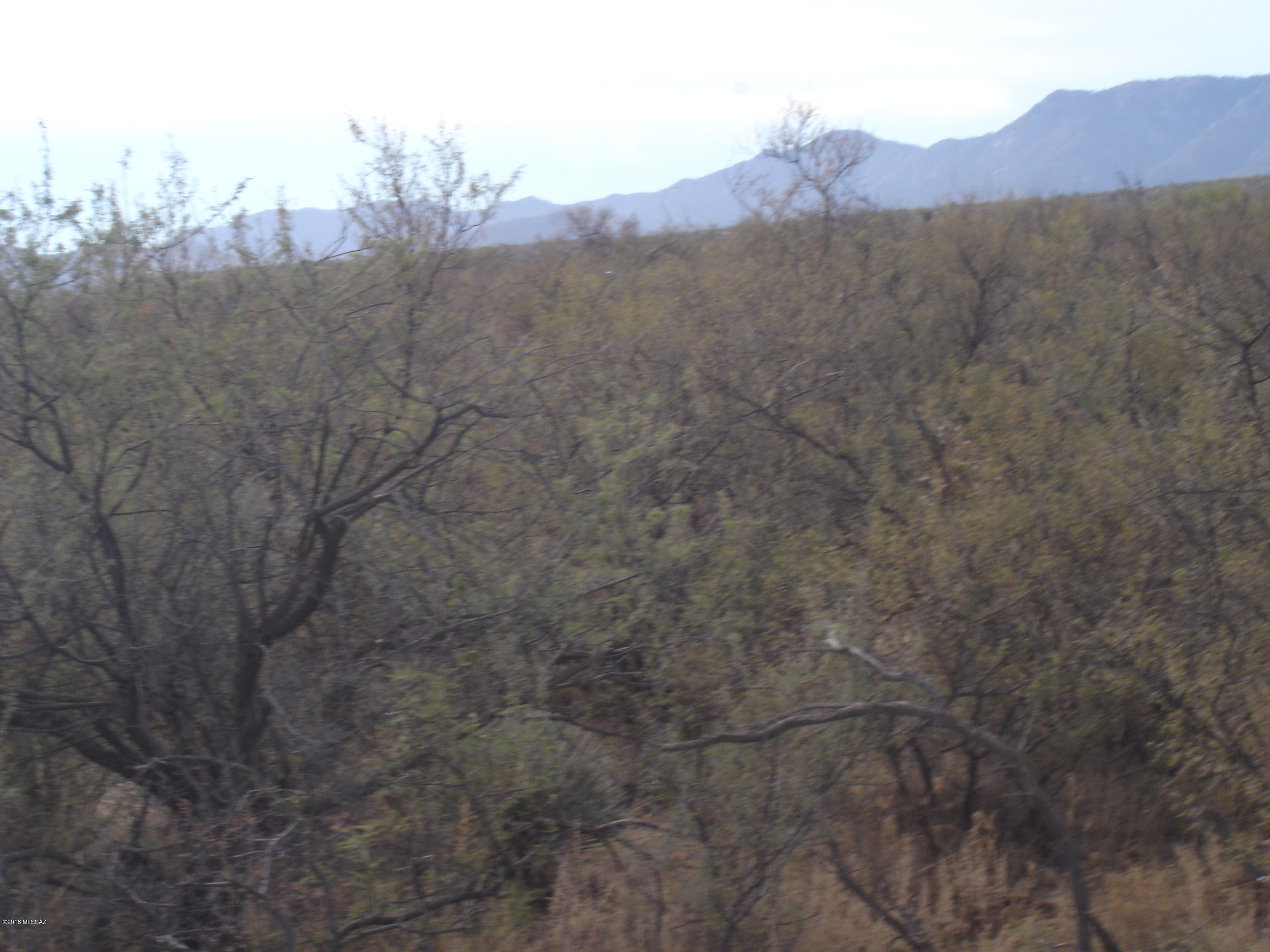 Out Of Pima County - Land