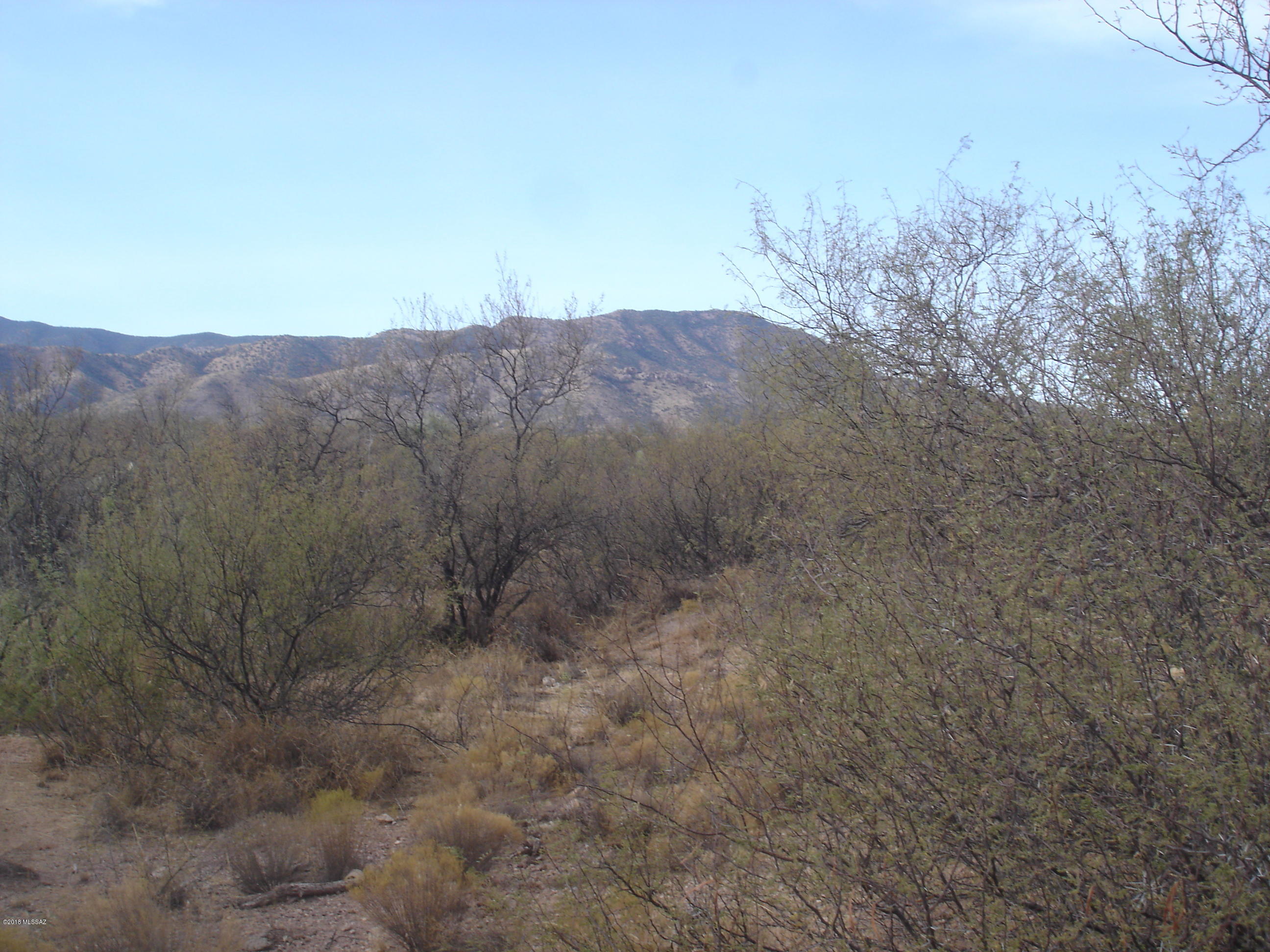 Out Of Pima County - Land