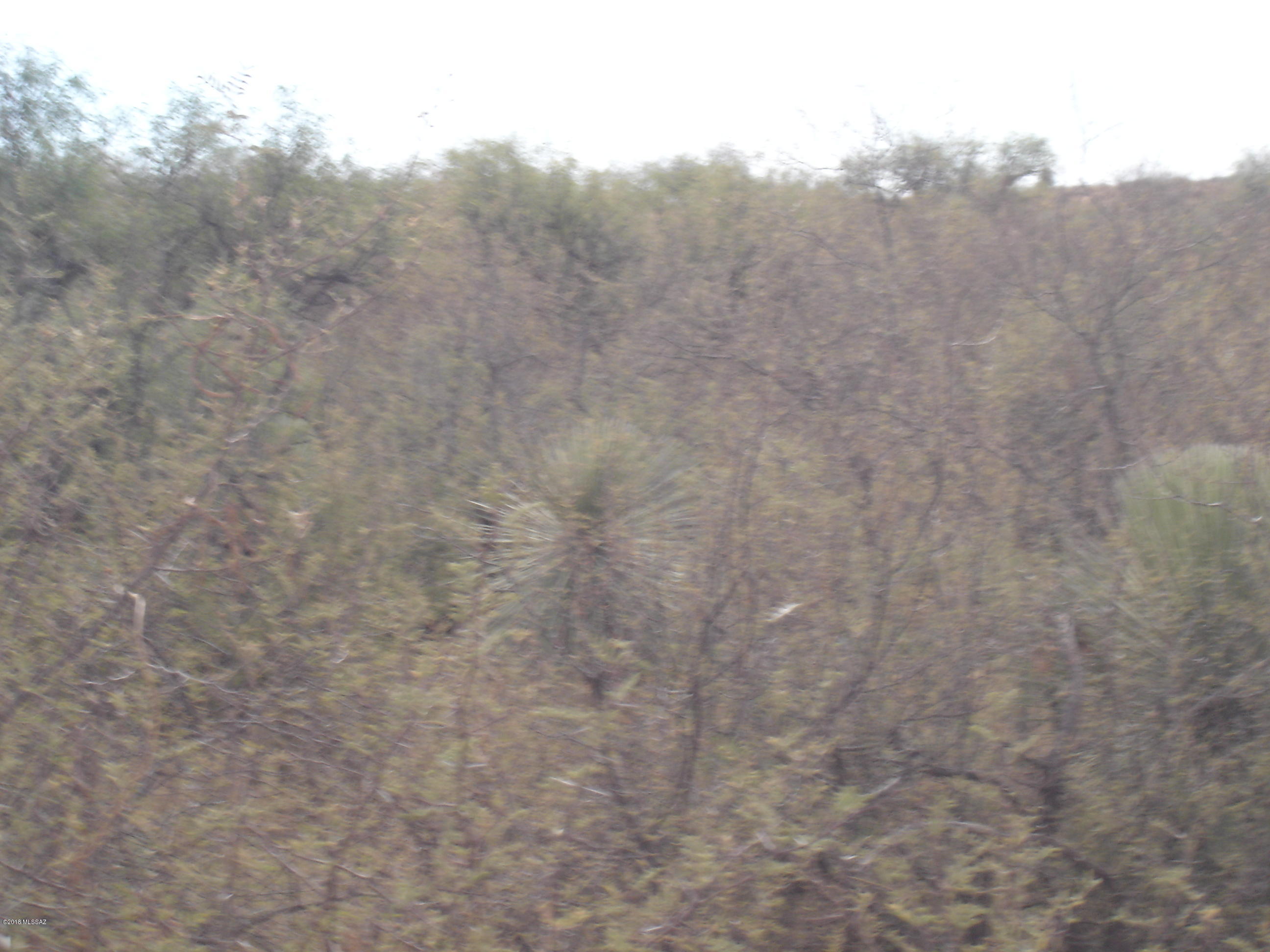 Out Of Pima County - Land