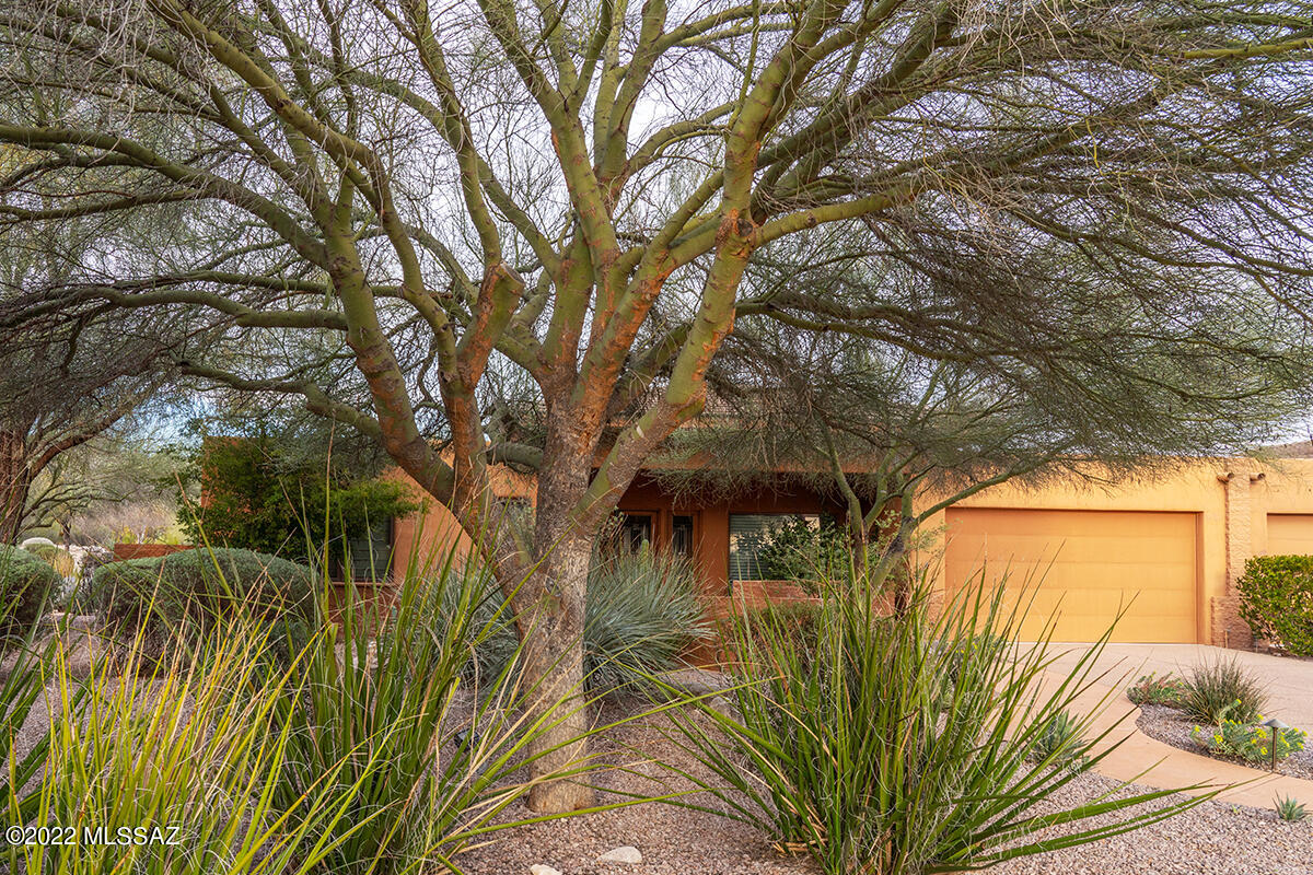 Canyon Ranch Estates II (1-20) - Residential