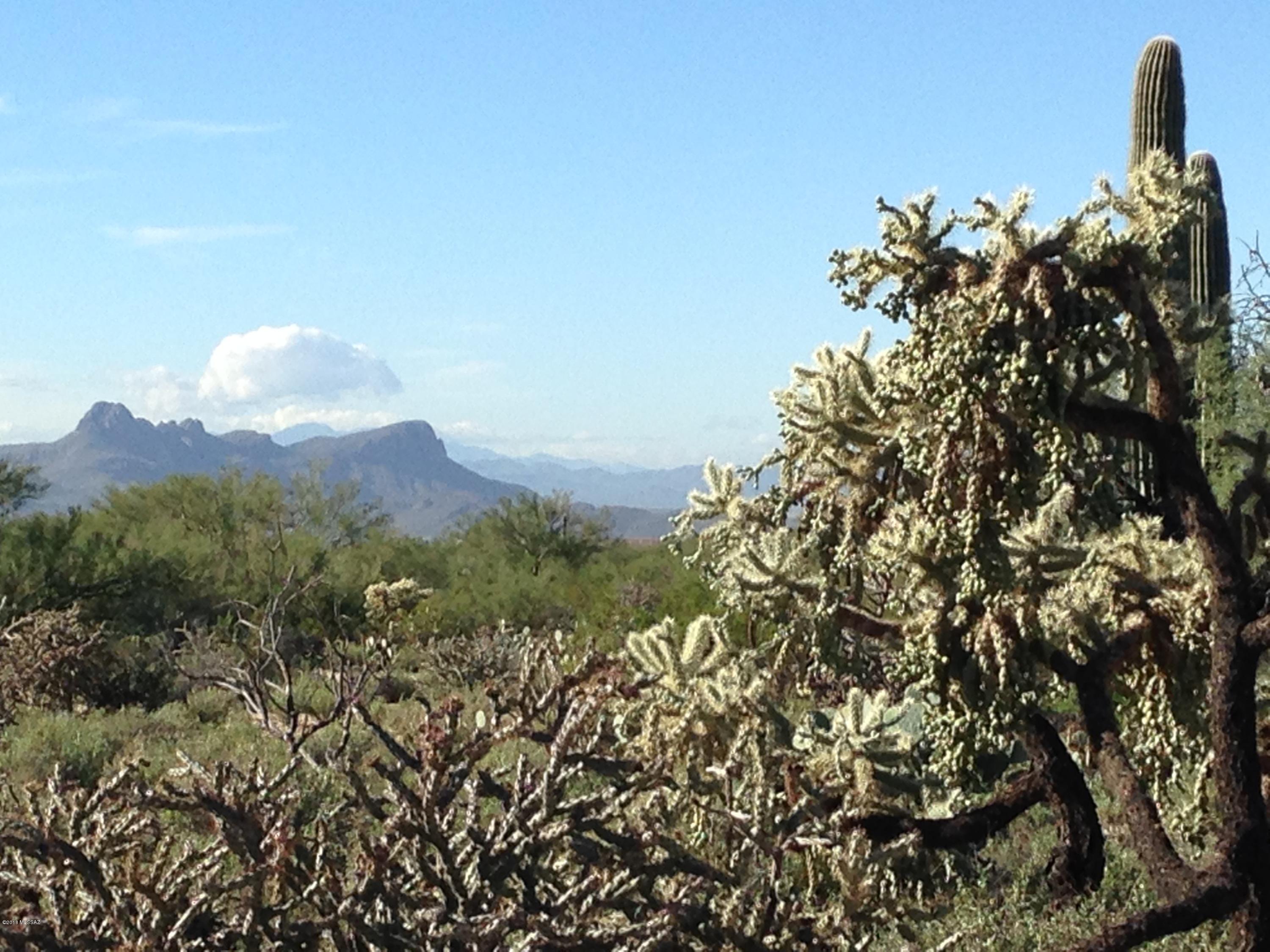 Sonoran Preserve - Land