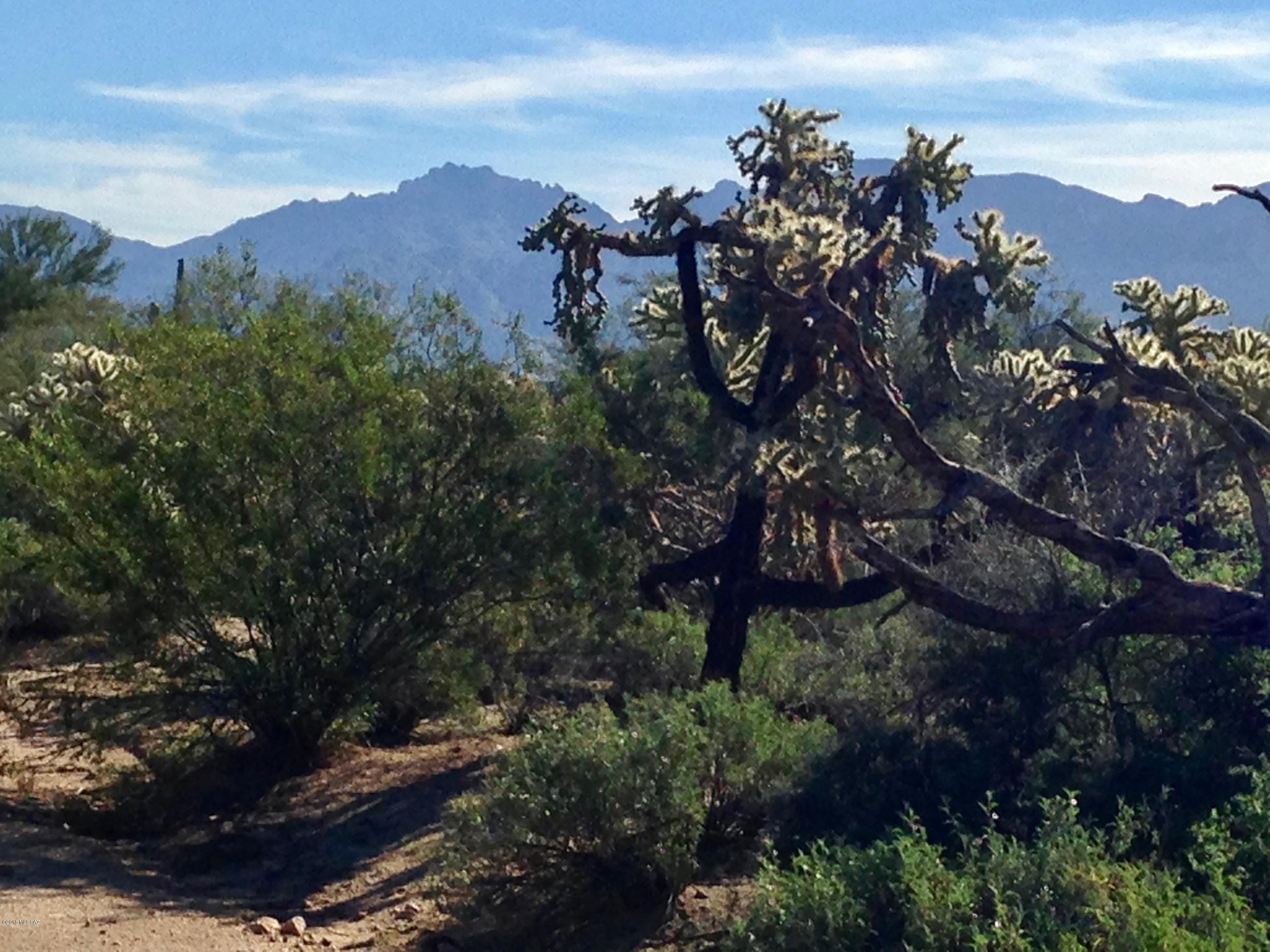 Sonoran Preserve - Land