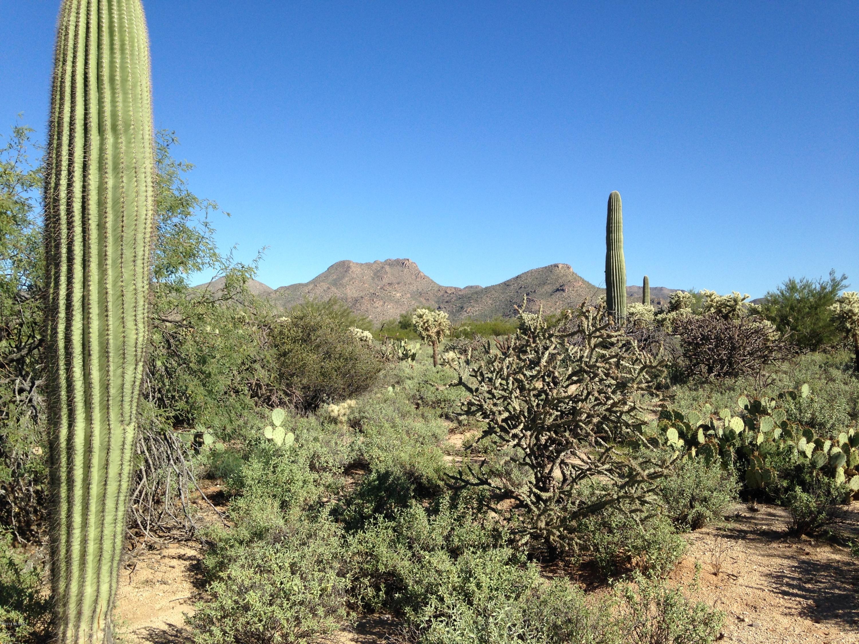 Sonoran Preserve - Land