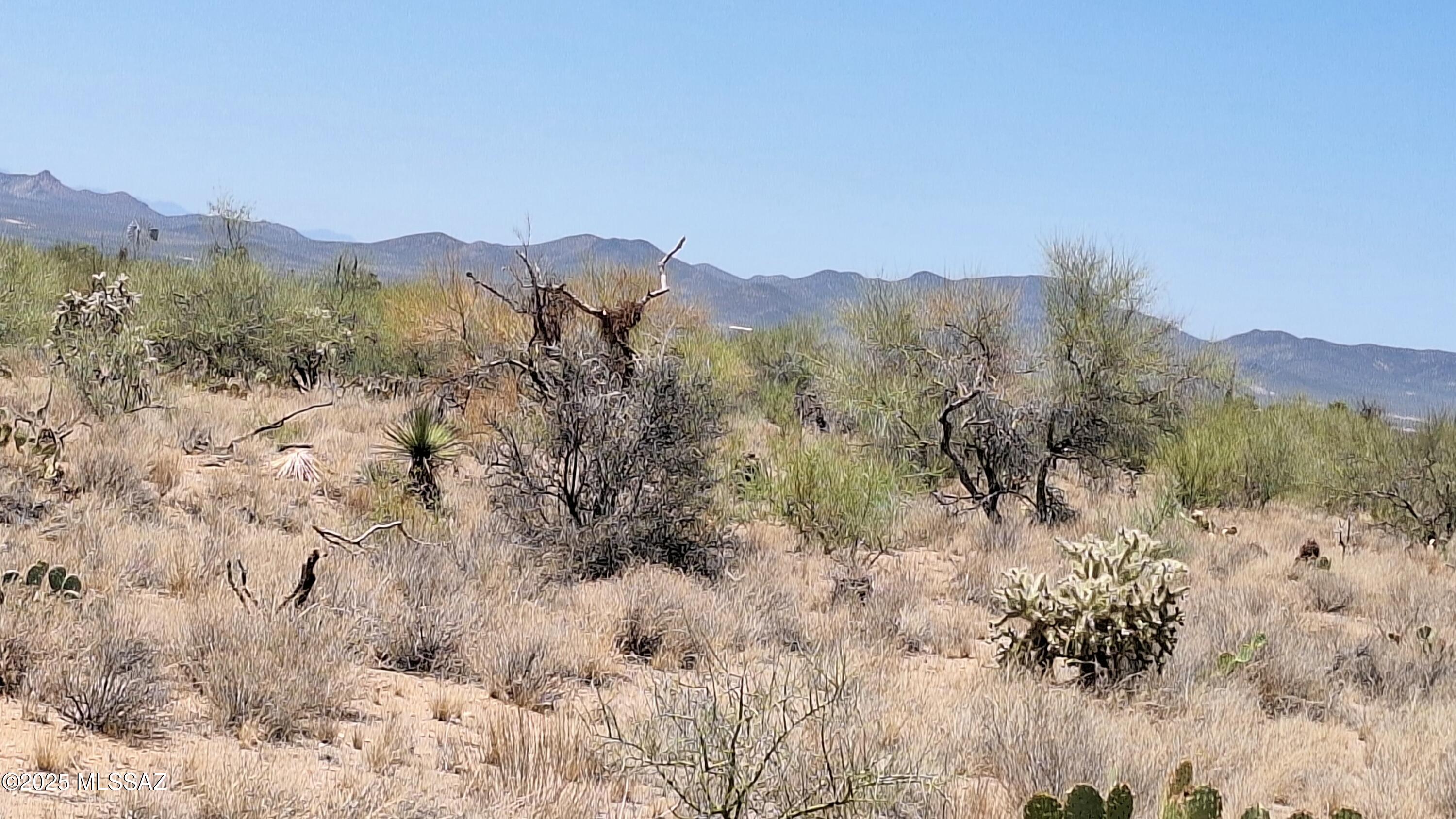 Diamond Bell Ranch - Tucson Unit 7 (Lots 1-15) - Land