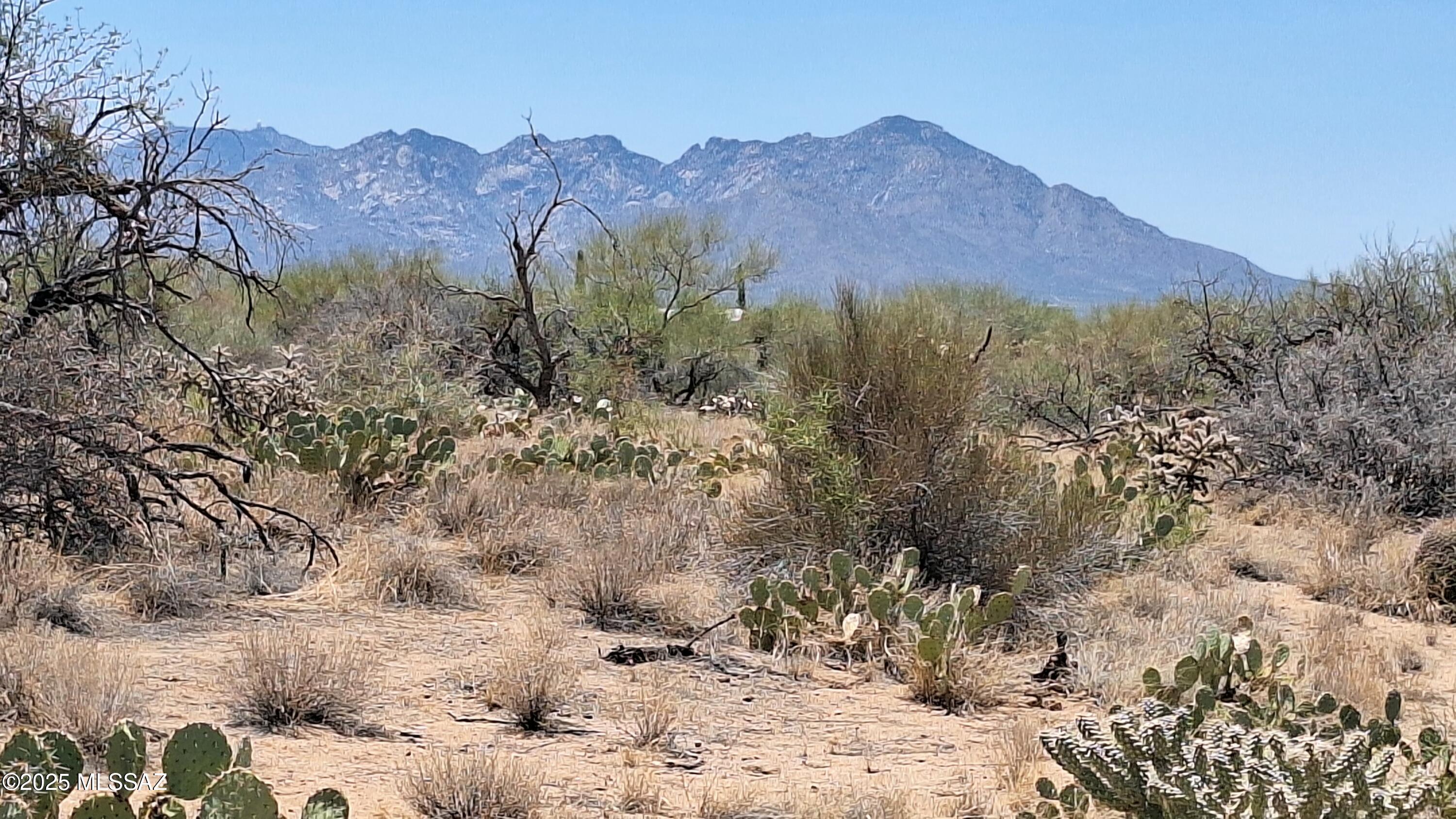 Diamond Bell Ranch - Tucson Unit 7 (Lots 1-15) - Land