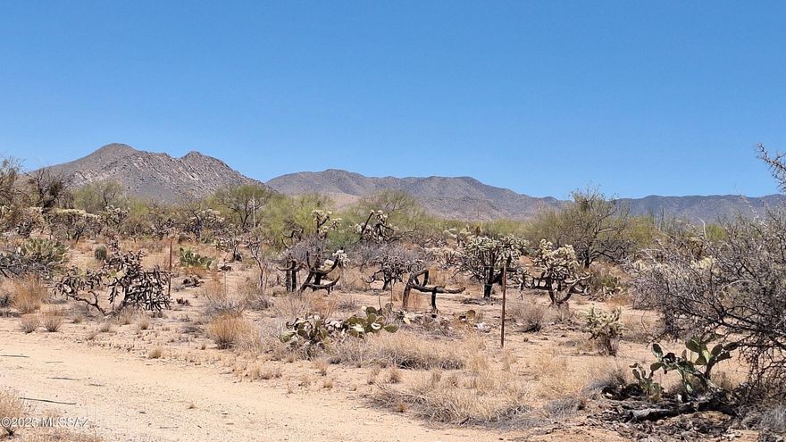 Build Your Dream Home on 1.23 Acres adjacent to State land in the beautiful Diamond Bell Ranch area!  This property offers sweeping views of the Sierrita Mountains, the iconic Kitt Peak Observatory, and the sacred Baboquivari Peak Wilderness, revered by the Tohono O'odham Nation as ''La Bestia.'' This area is celebrated for its unforgettable sunrises and sunsets, majestic mountain vistas, and world-class stargazing. Enjoy the tranquility of nature while being just 25 minutes from Tucson. Water is close to lot line, electric is available.  Zoned CR1, no manufactured homes. Horses and livestock OK.  No HOA, close to paved road. Possible Seller Financing.