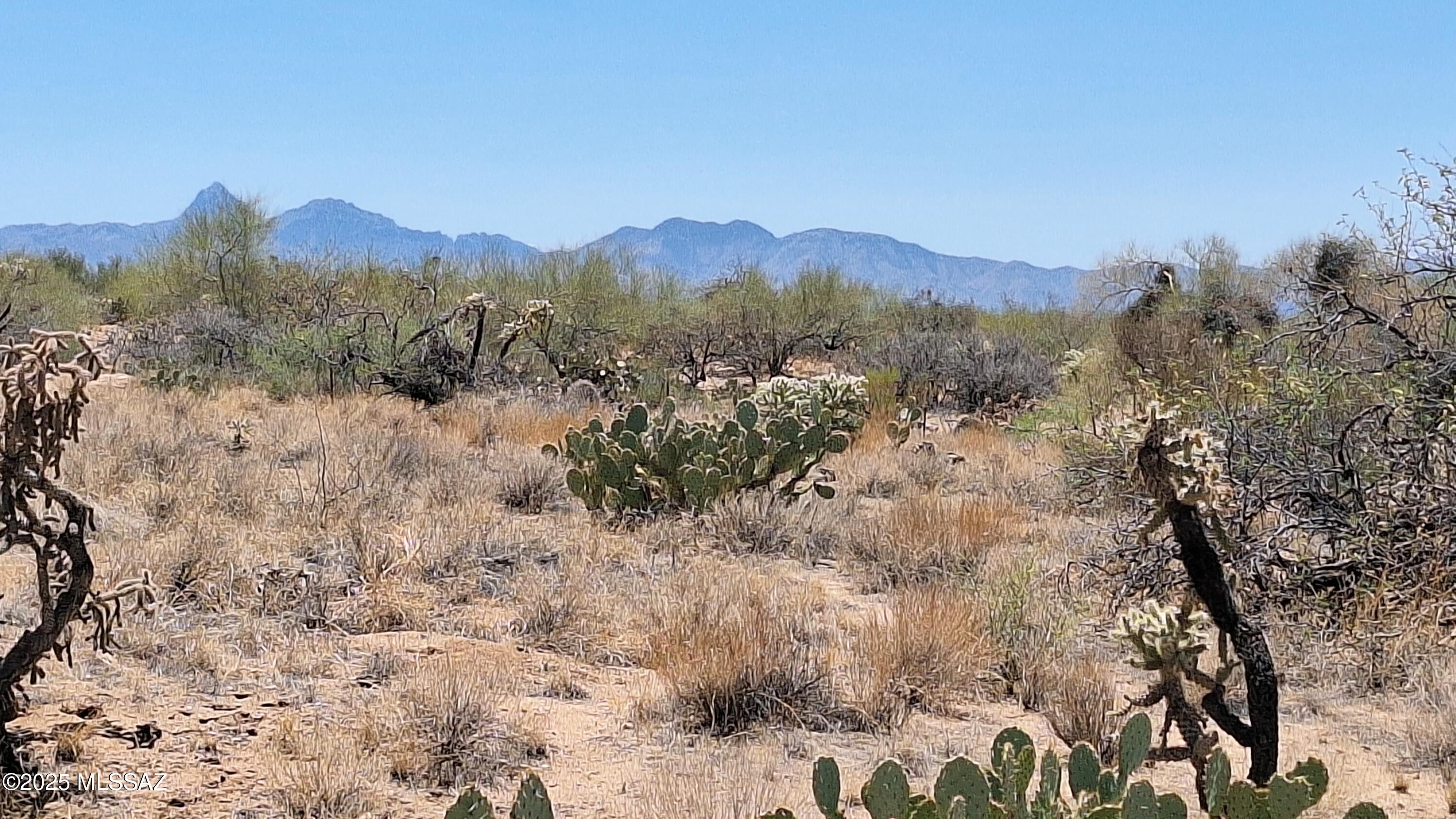 Diamond Bell Ranch - Tucson Unit 7 (Lots 1-15) - Land