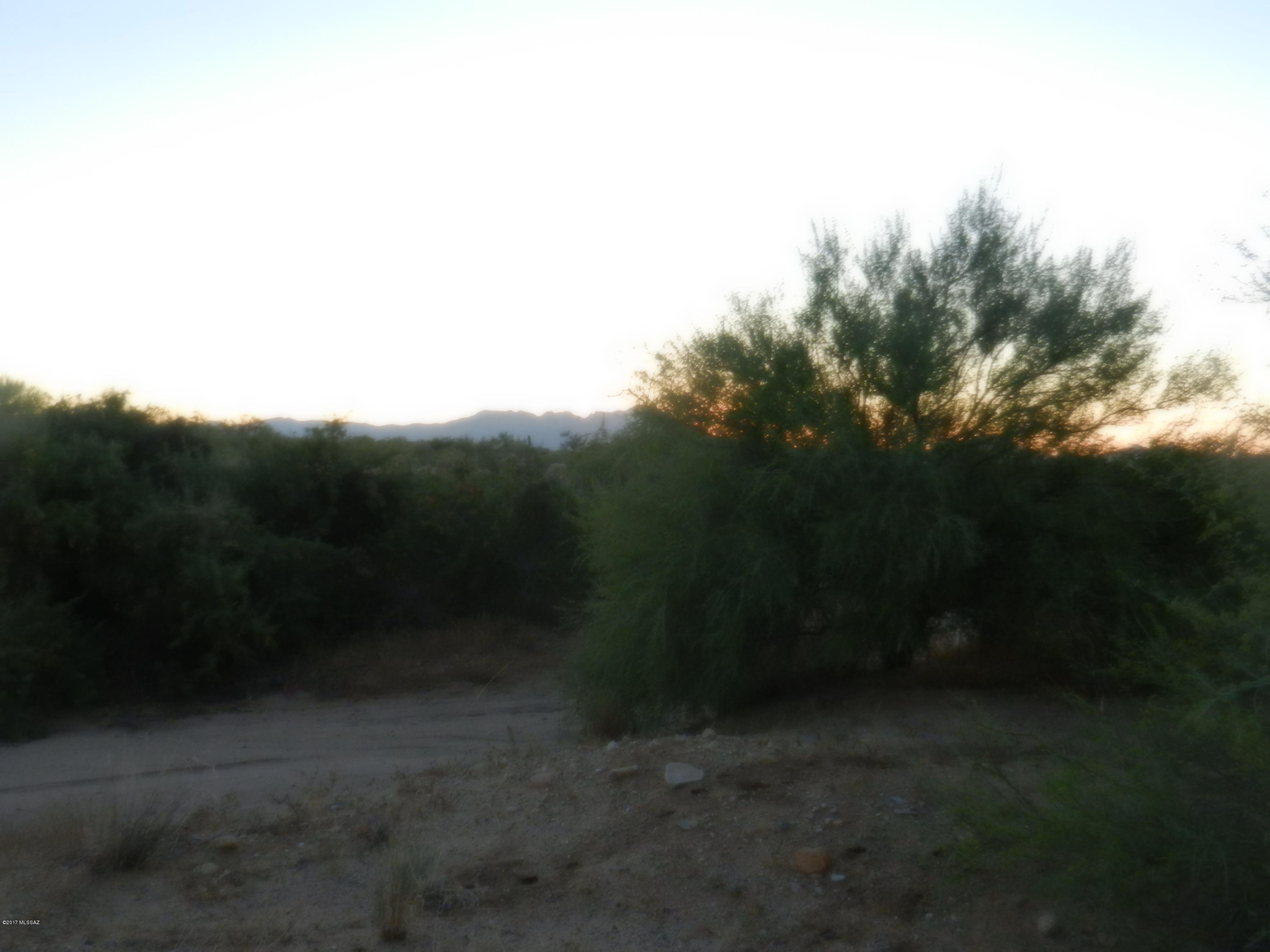 Mira Bell (1-40) - Land