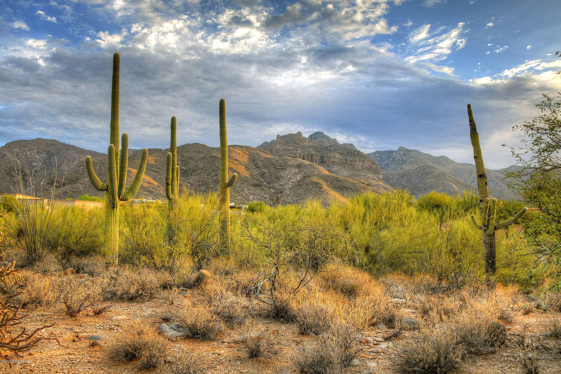 Pima Canyon Estates (1-176) - Land