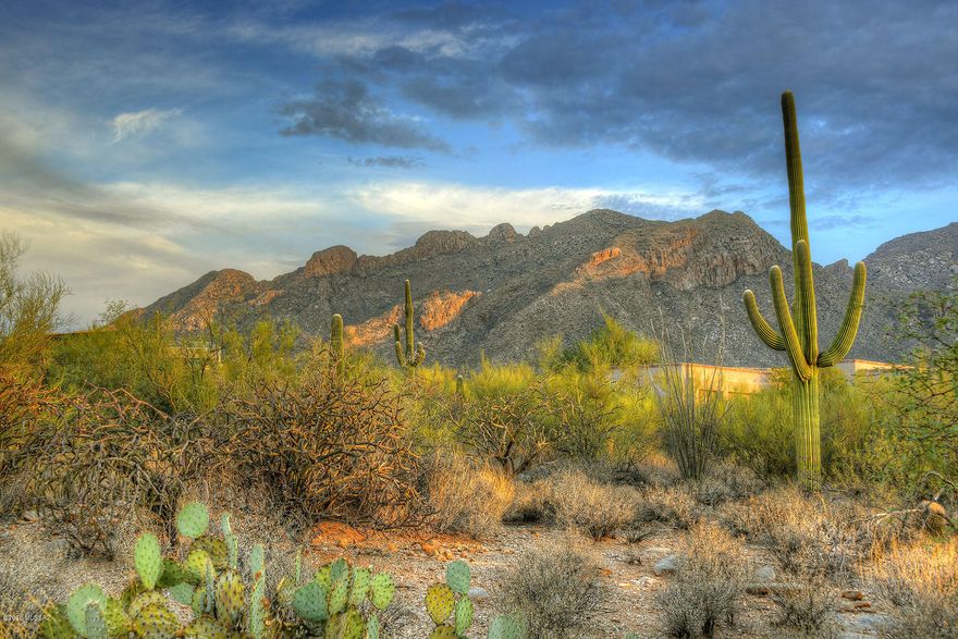 A rare and  beautiful 1.24 acre homesite is available with majestic mountain  views in prestigious gated Pima Canyon. This easy building site  is perfect for a custom or spec home. Great lots are hard to find !!!