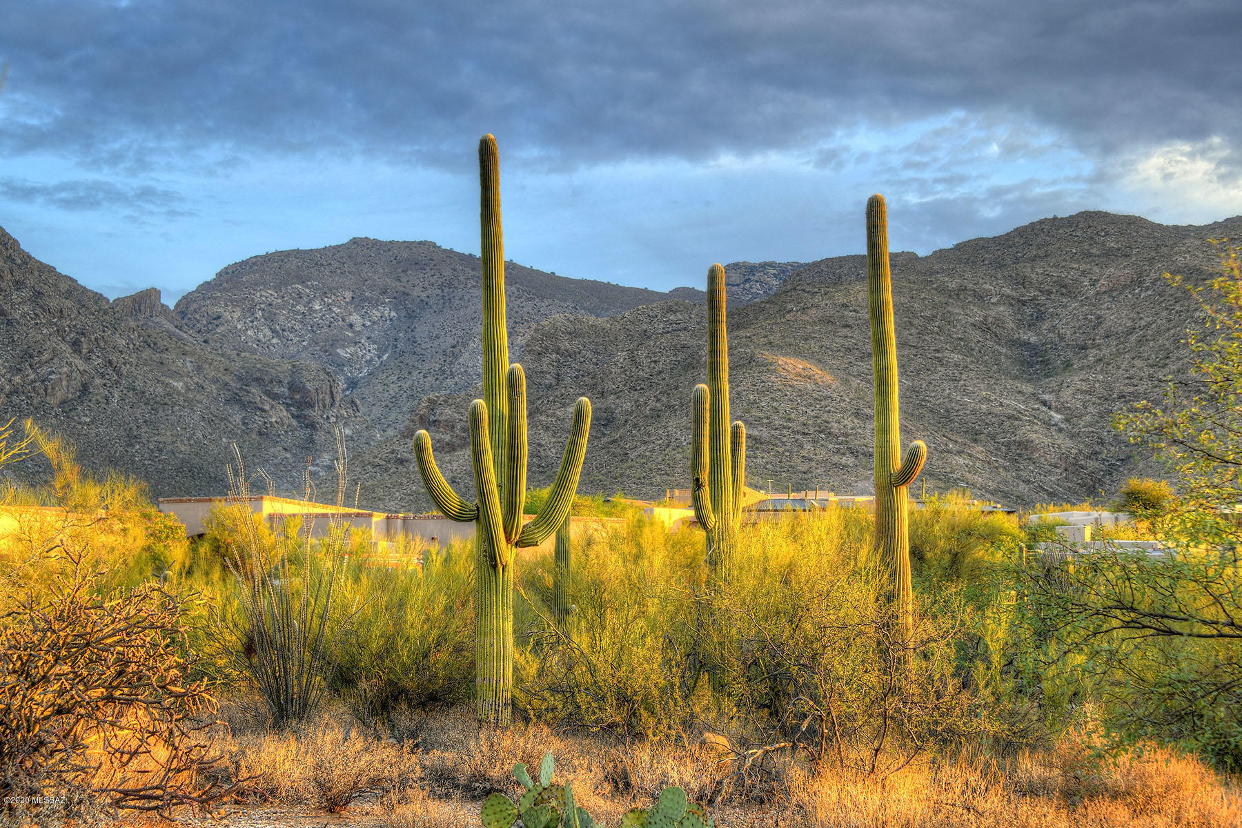 Pima Canyon Estates (1-176) - Land