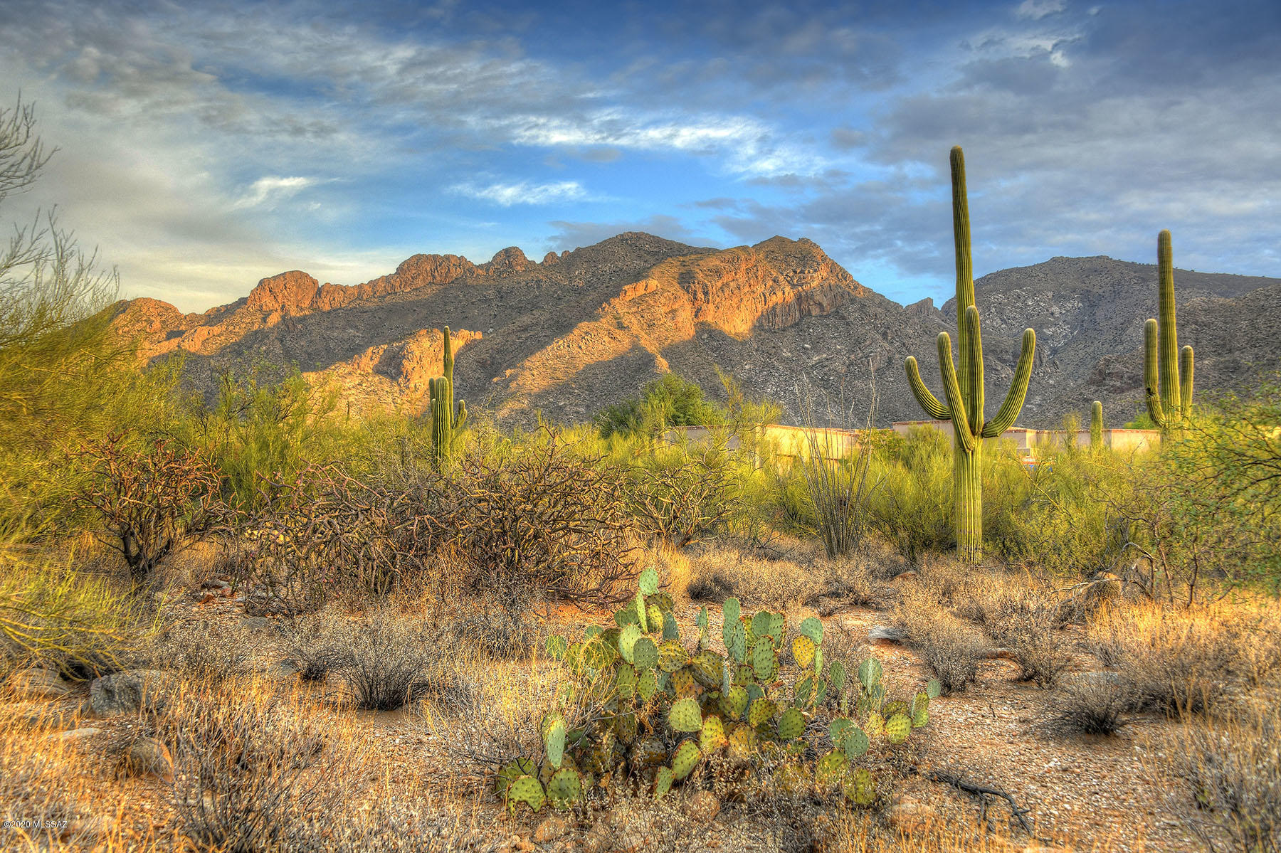 Pima Canyon Estates (1-176) - Land