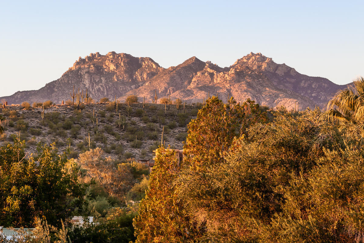 Sabino Vista NO. 4 (1-31) - Residential