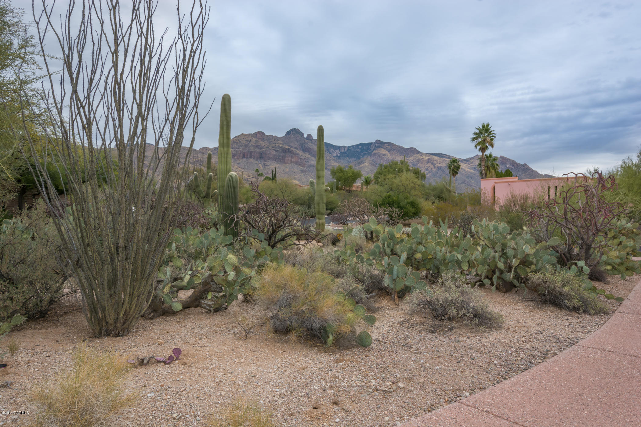 Catalina Foothills Est 9 - Residential