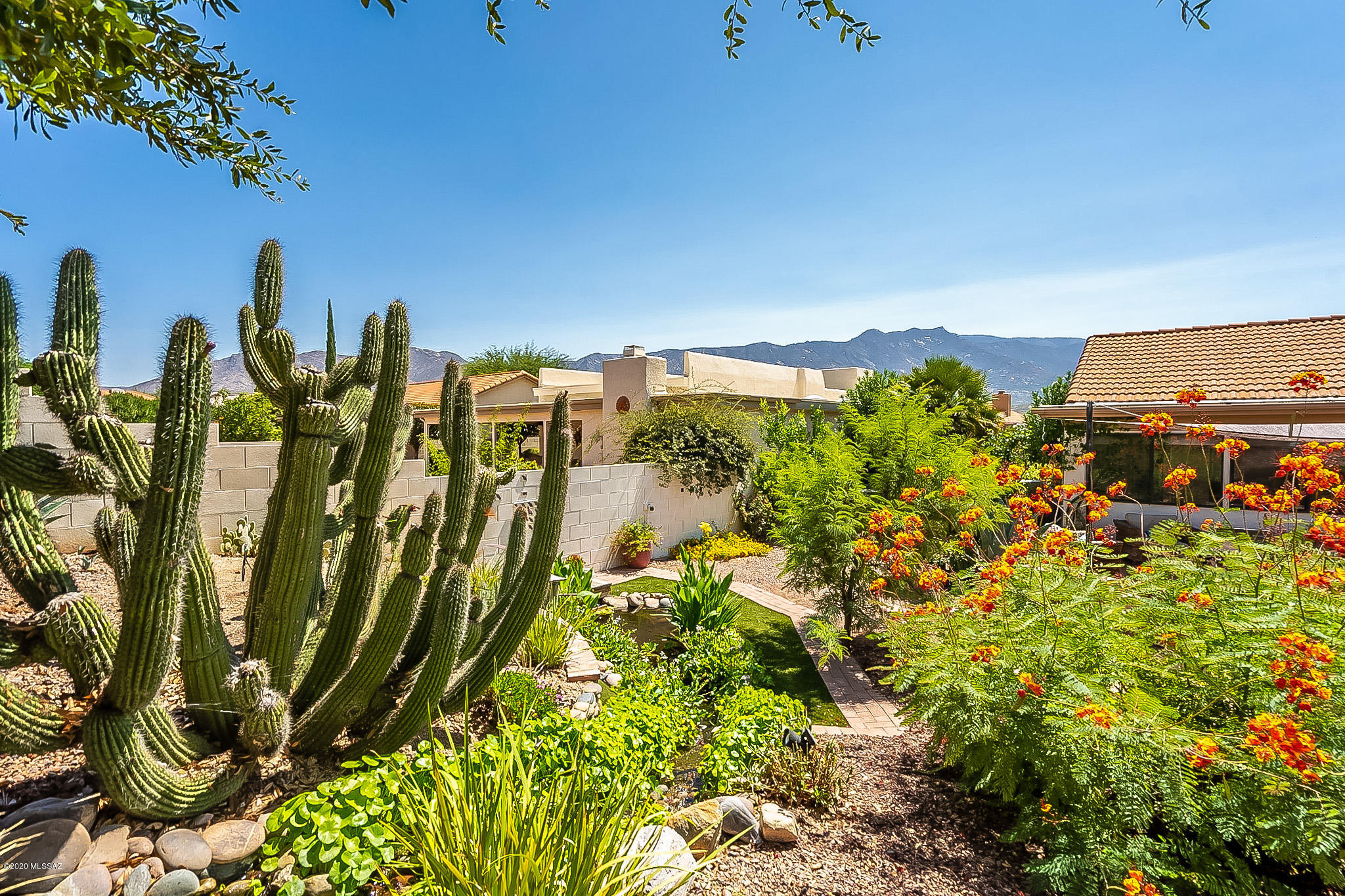 Saddlebrooke - Residential