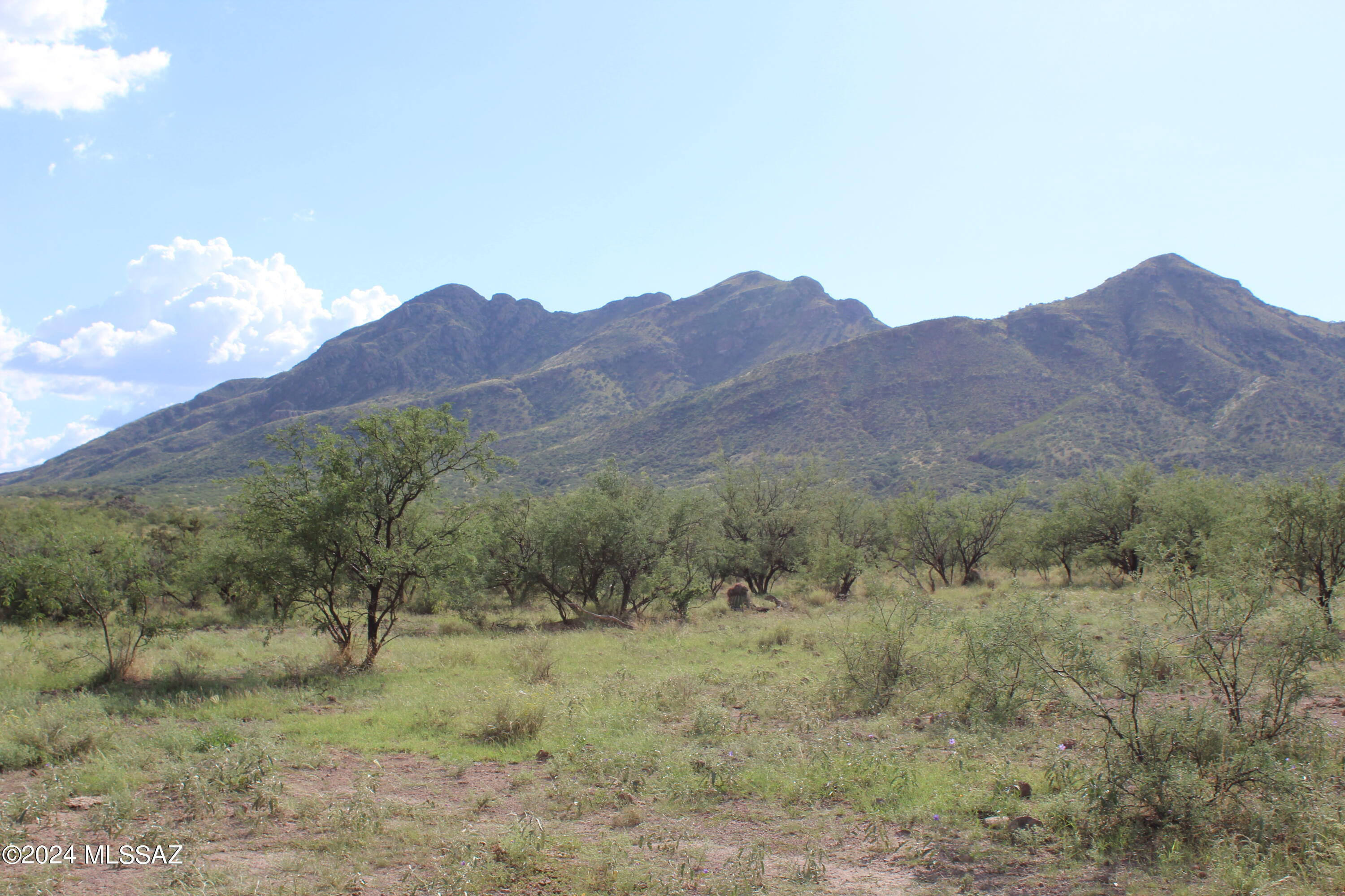 Morning Star Ranch - Land