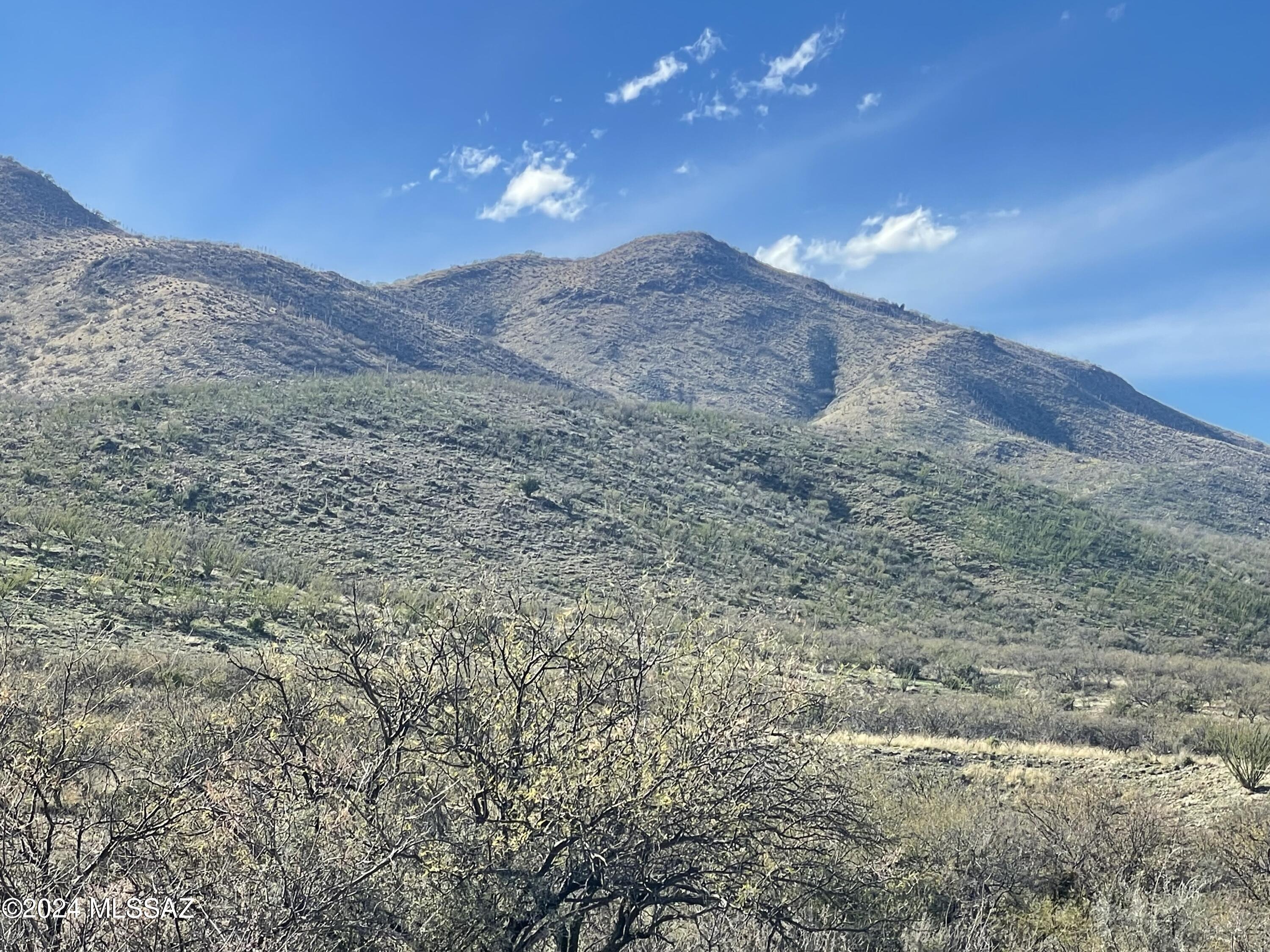 Morning Star Ranch - Land