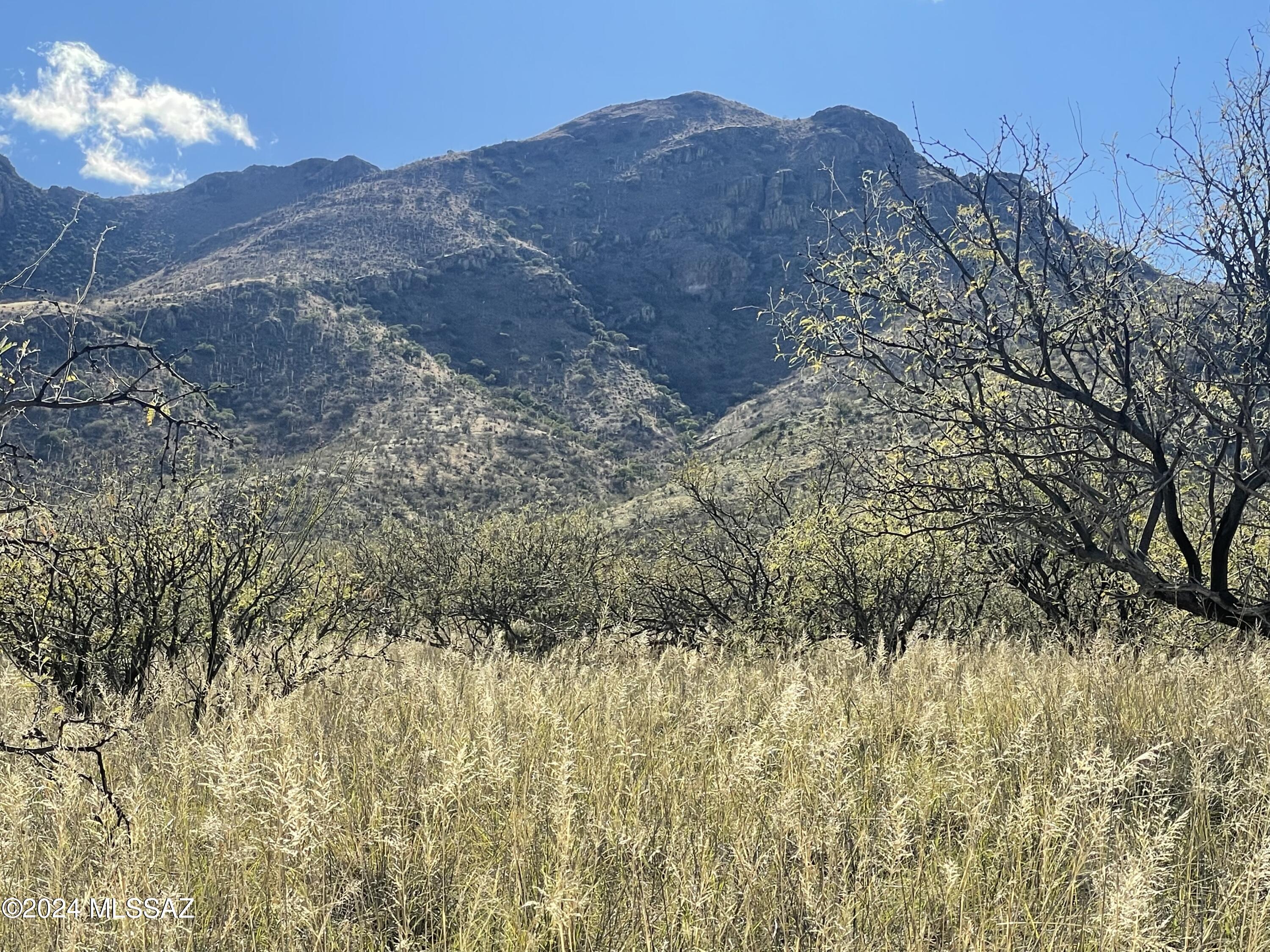 Morning Star Ranch - Land