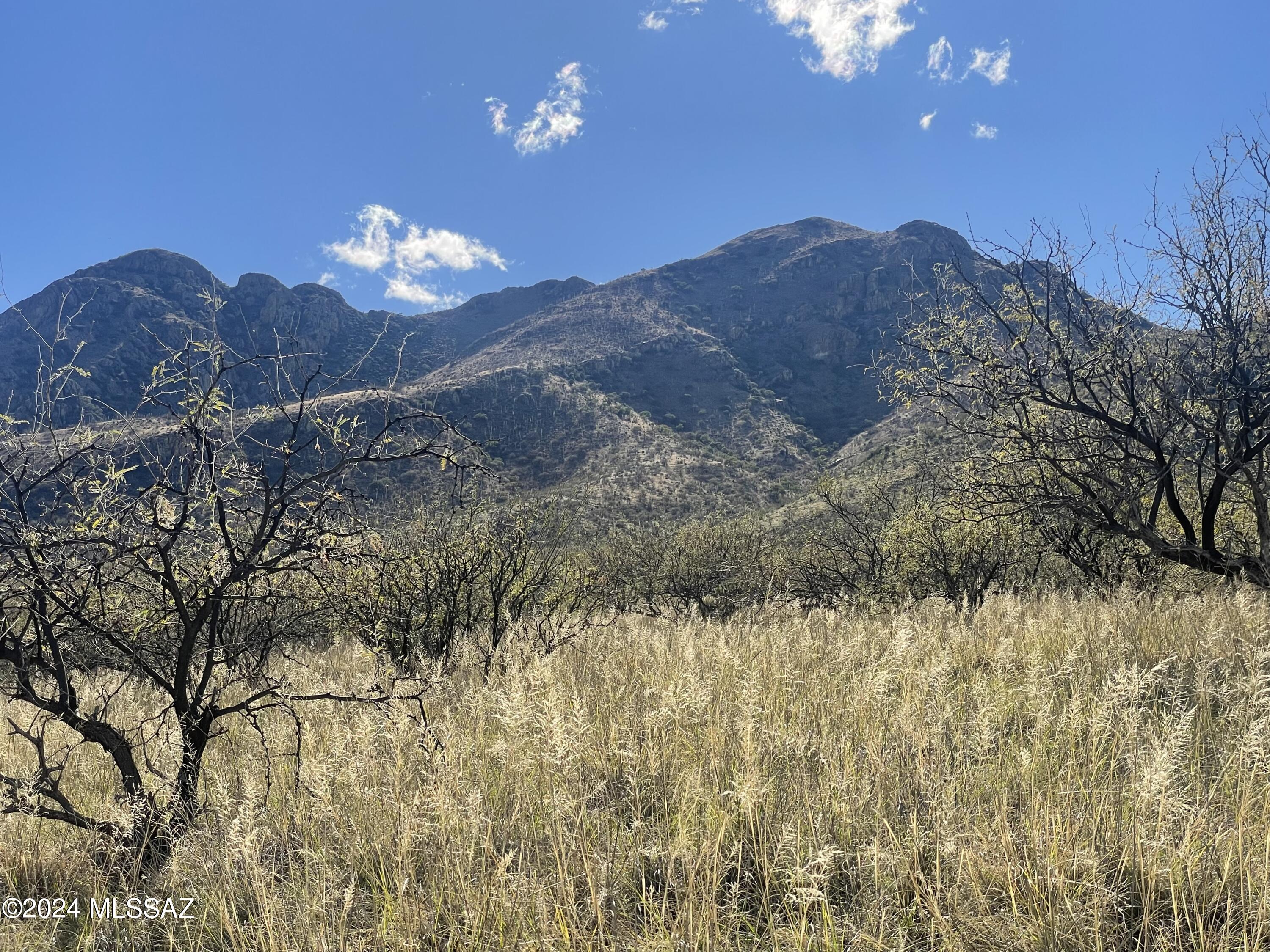 Morning Star Ranch - Land