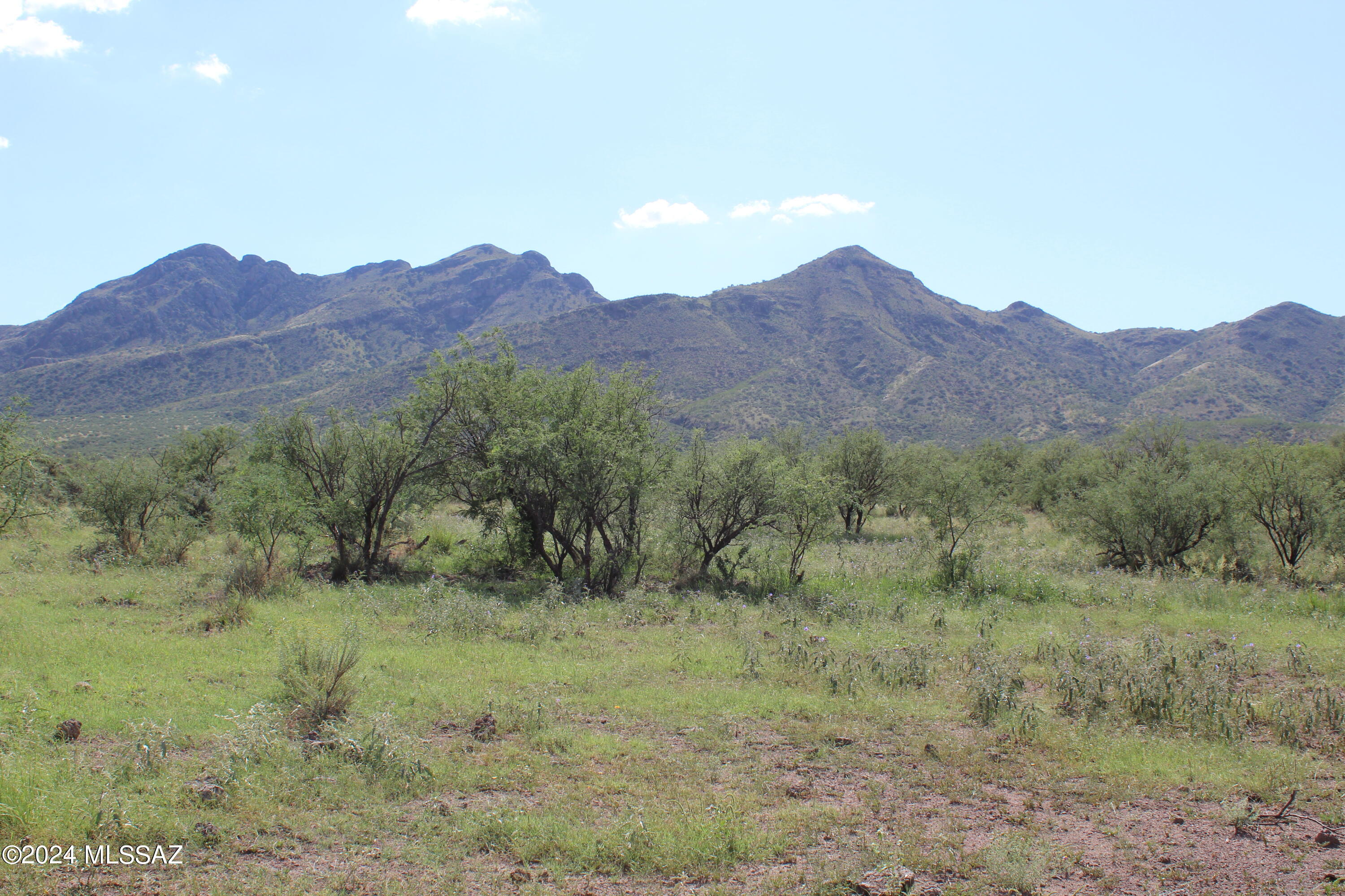 Morning Star Ranch - Land