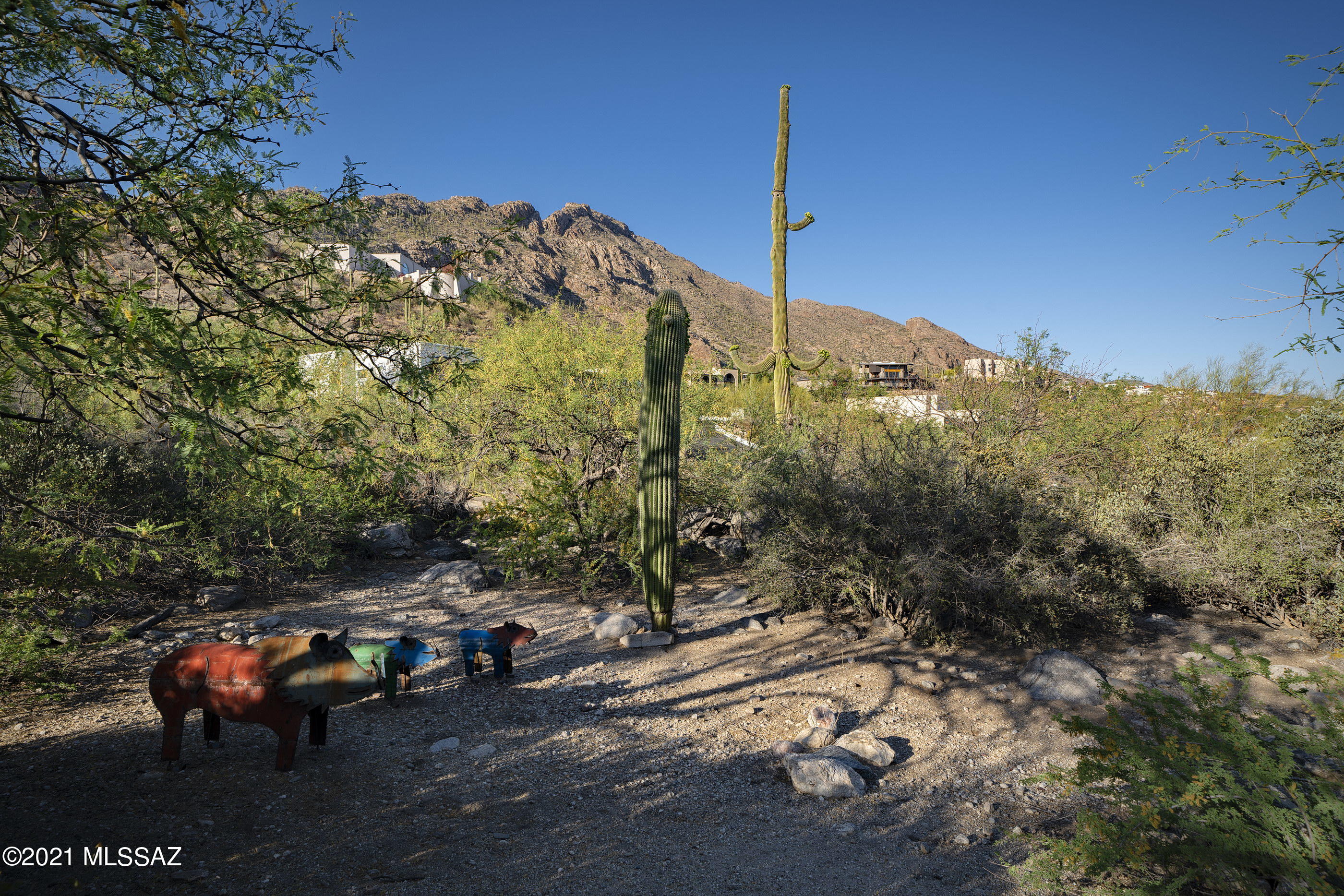 Coronado Foothills Estates - Residential